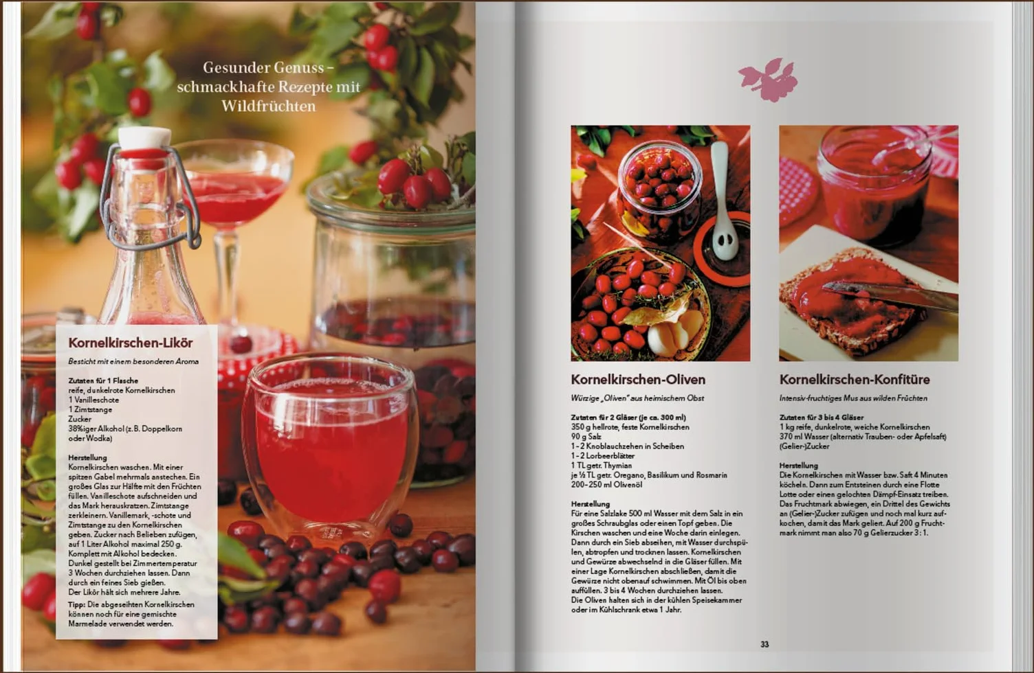 Landlust Naturapotheke: Naturrezepte für Gesundheit und Wohlbefinden - Herbst und Winter. Mit den Heilkräften der Natur gestärkt durch die kalte Jahreszeit. Tipps zu Heilpflanzen und ihrer Anwendung.