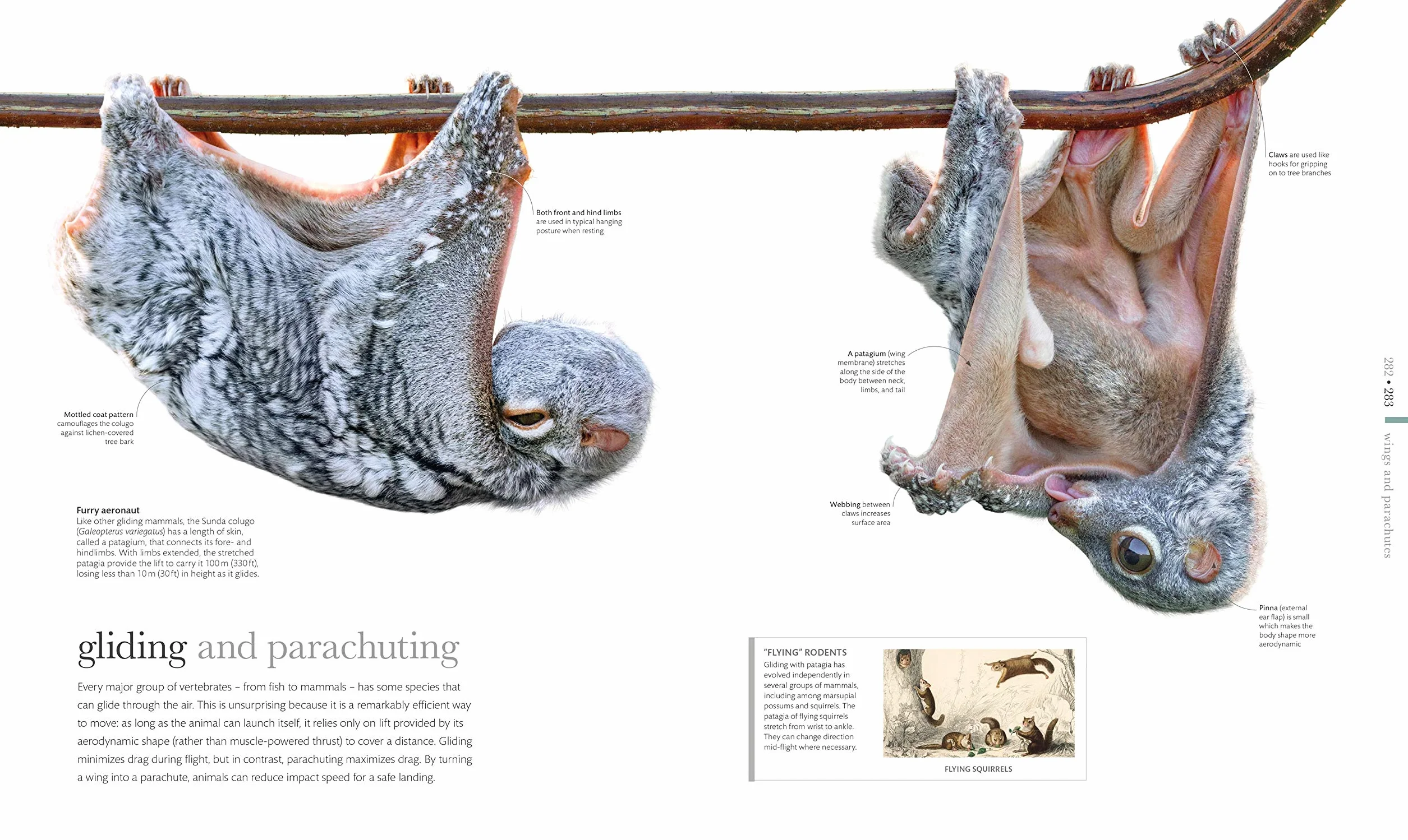 The Science of Animals: Inside their Secret World