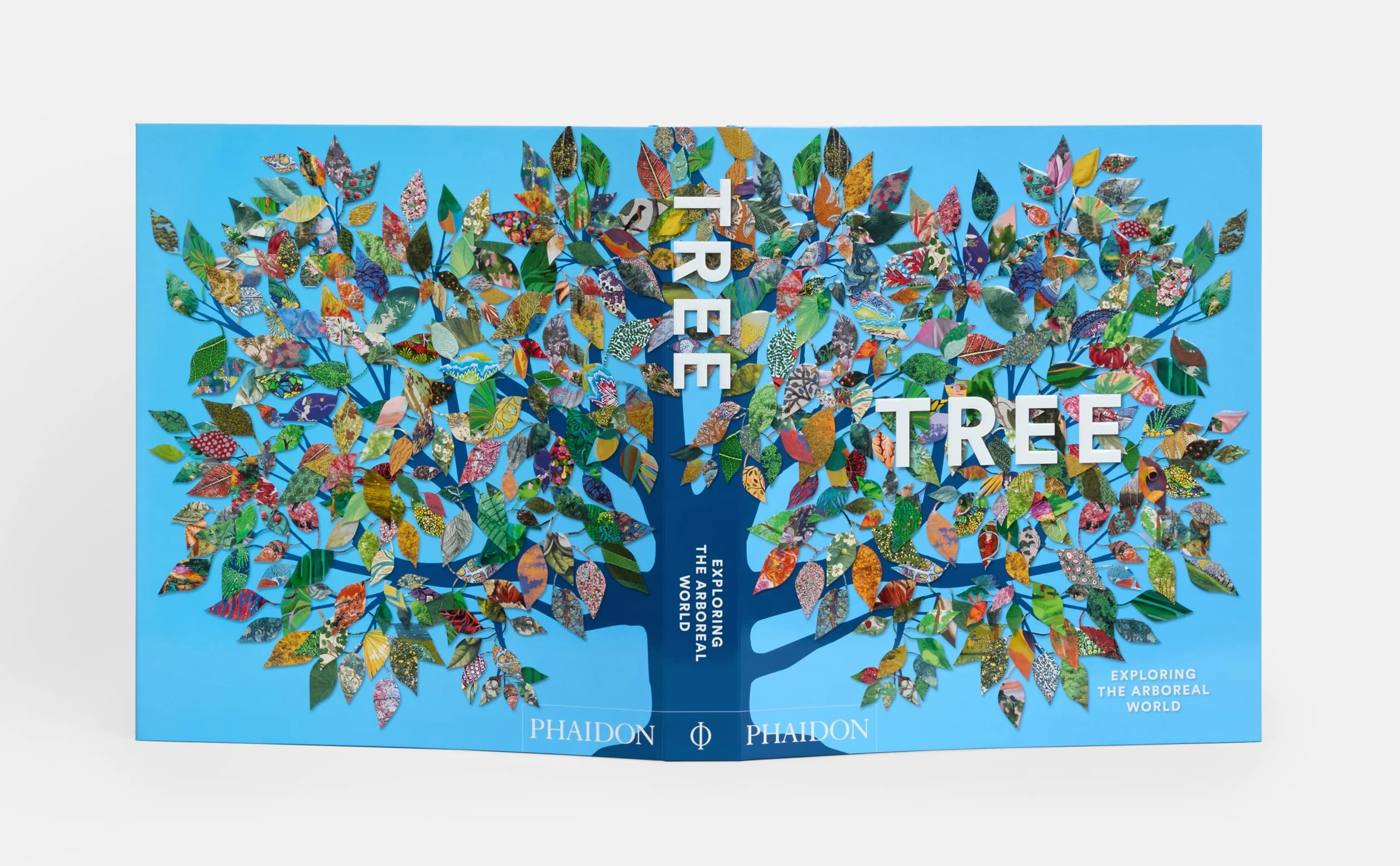 Tree: Exploring the Arboreal World
