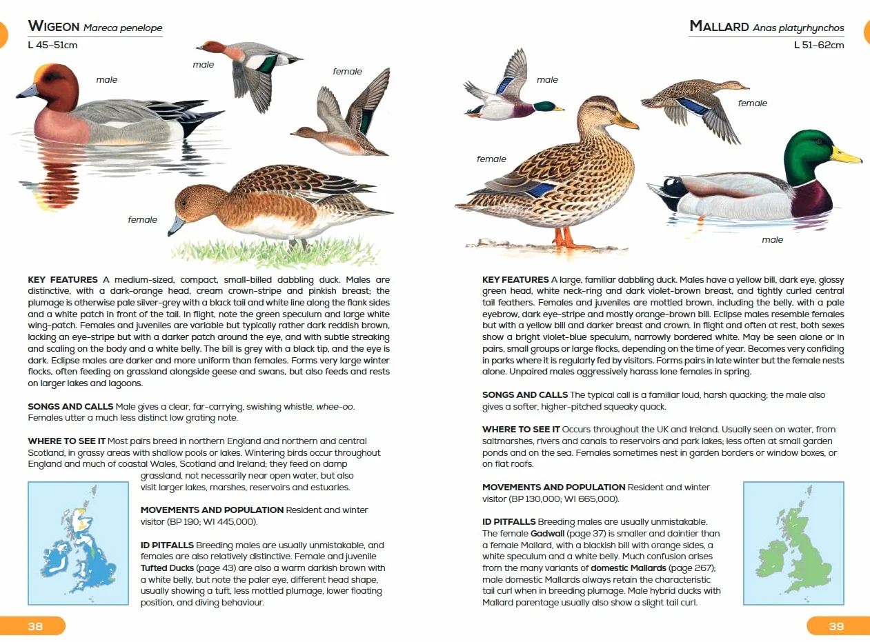 RSPB Pocket Guide to British Birds