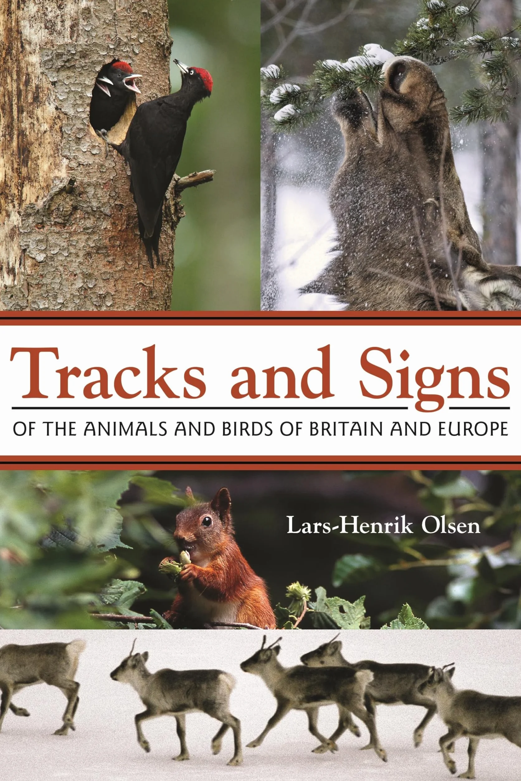 Tracks and Signs of the Animals and Birds of Britain and Europe