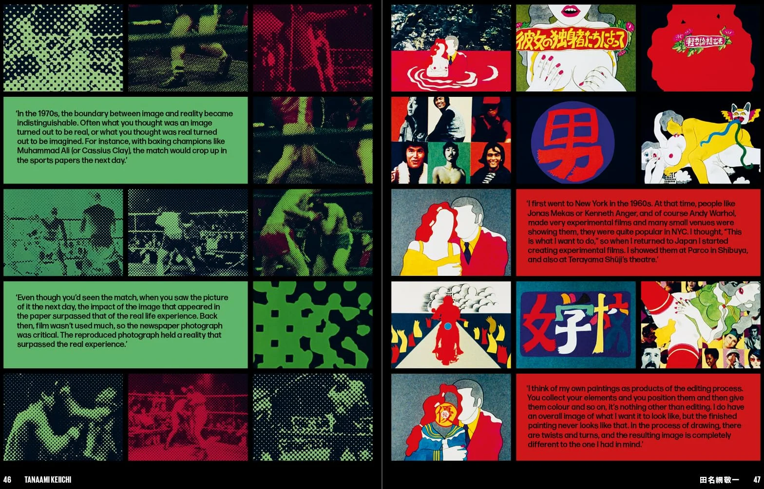 Japan Art Revolution: The Japanese Avant-Garde from Angura to Provoke /anglais