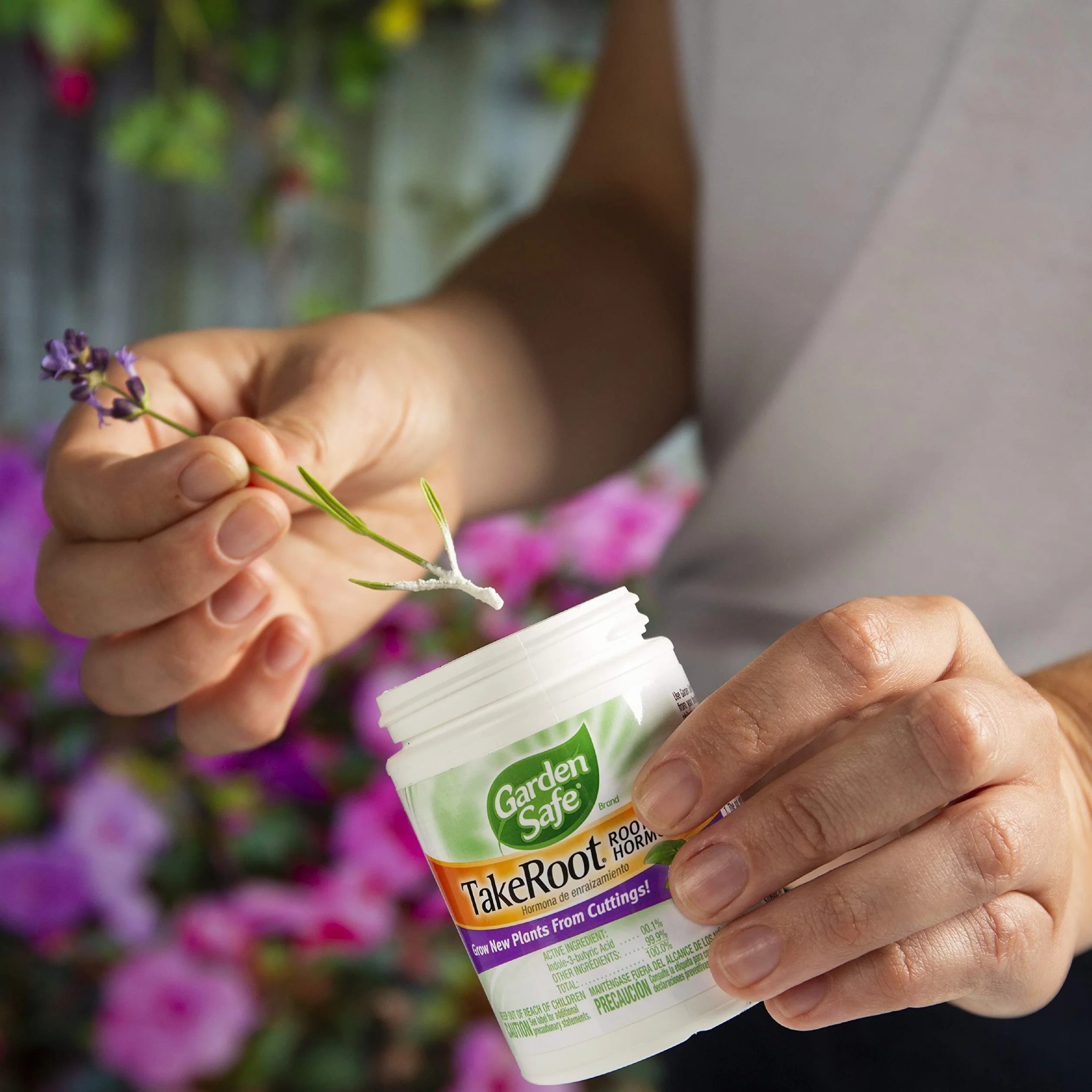 Garden Safe Weź ukorzenienie hormonu, wspomaga ukorzenienie, wyhodowanie nowych roślin z sadzonek, 59 g