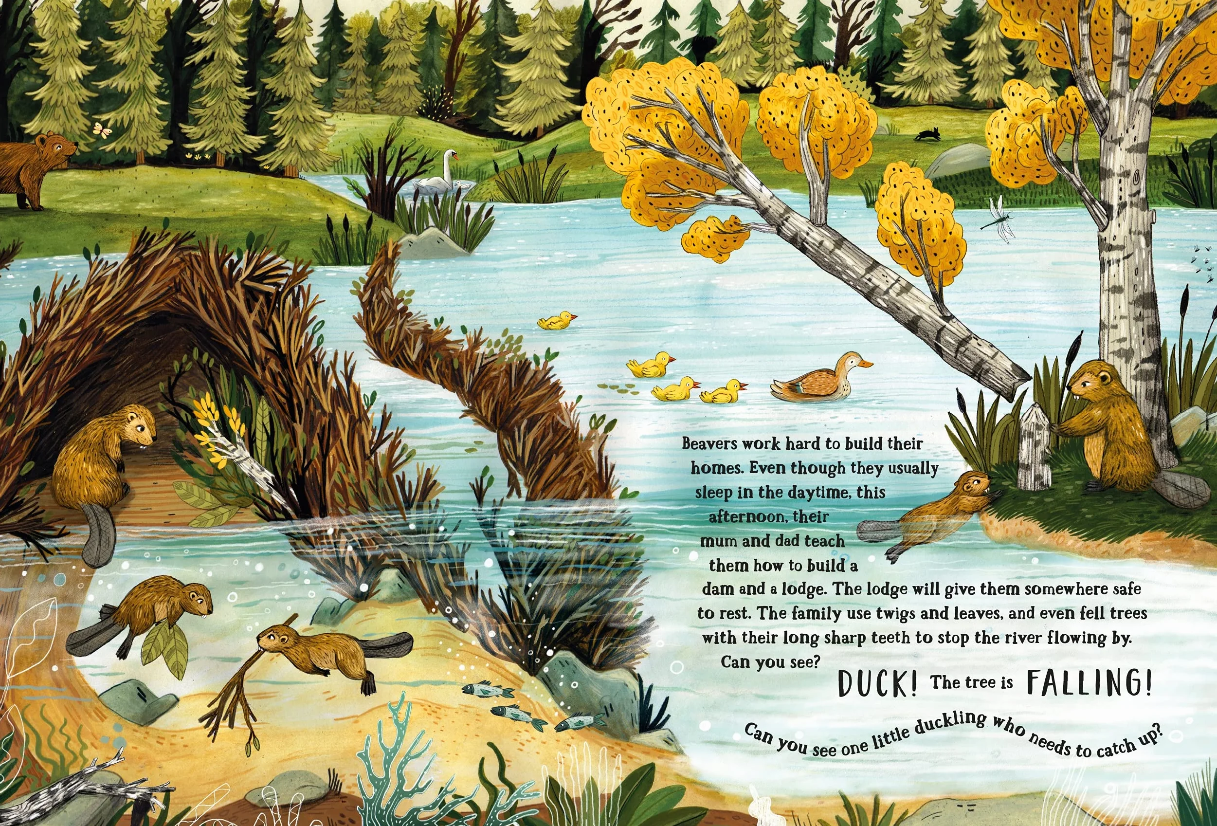 The Secret Forest: 1