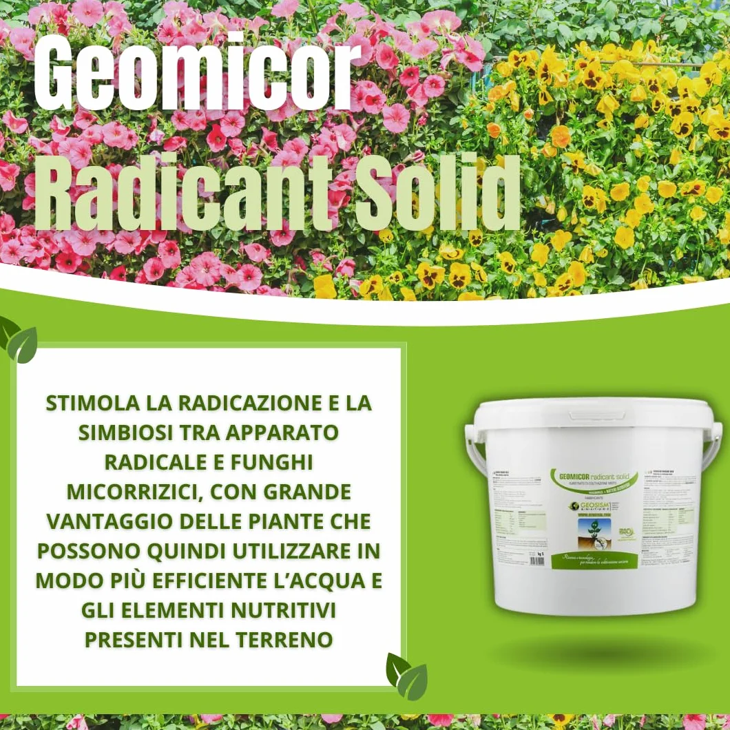 Geomicor Radicant Solid, (1 kg), inoculo granulare di funghi micorrizici e batteri della rizosfera per ortaggi, piante e fiori