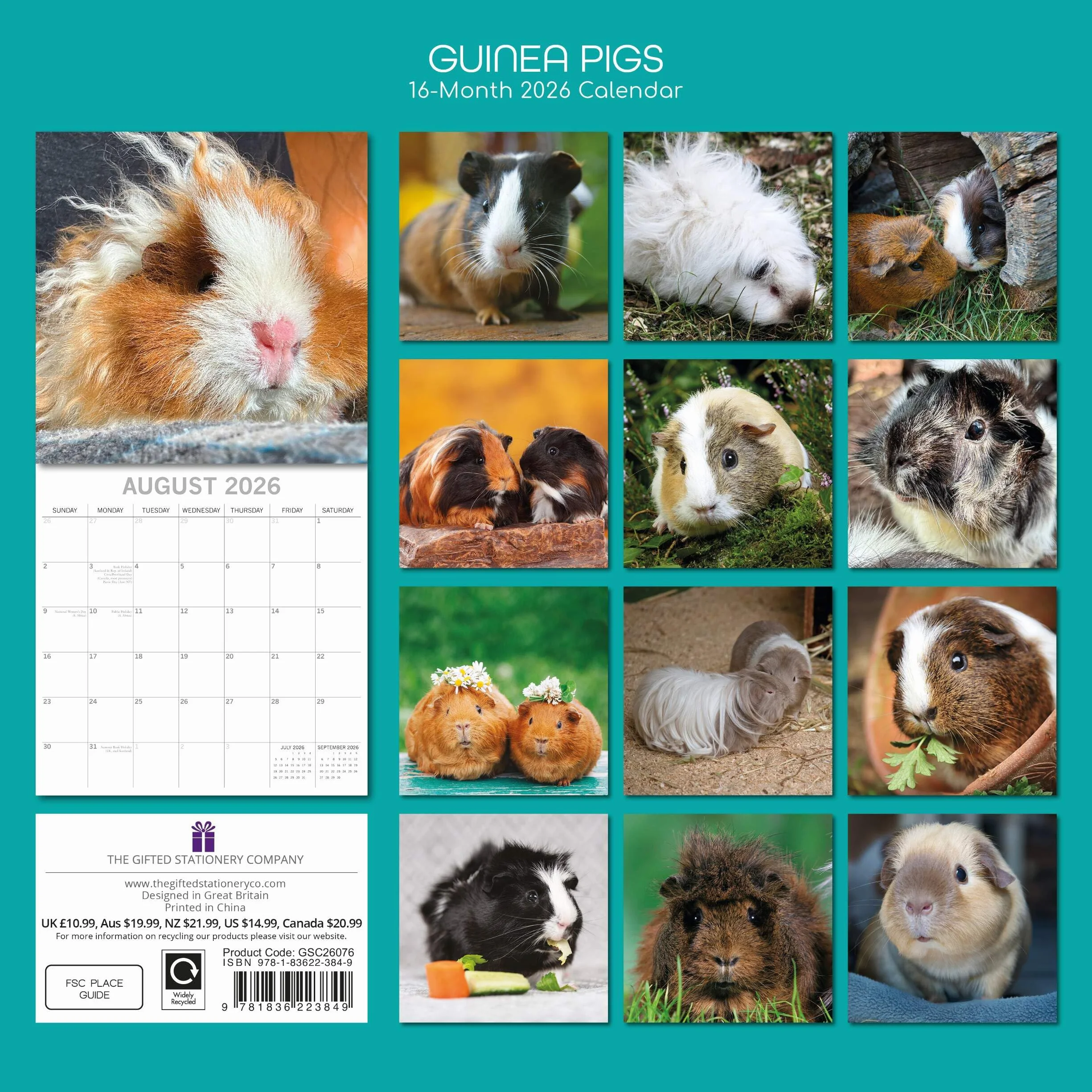 Guinea Pigs – Meerschweinchen 2026 – 16-Monatskalender: Original Gifted Stationery-Kalender [Mehrsprachig] [Kalender]