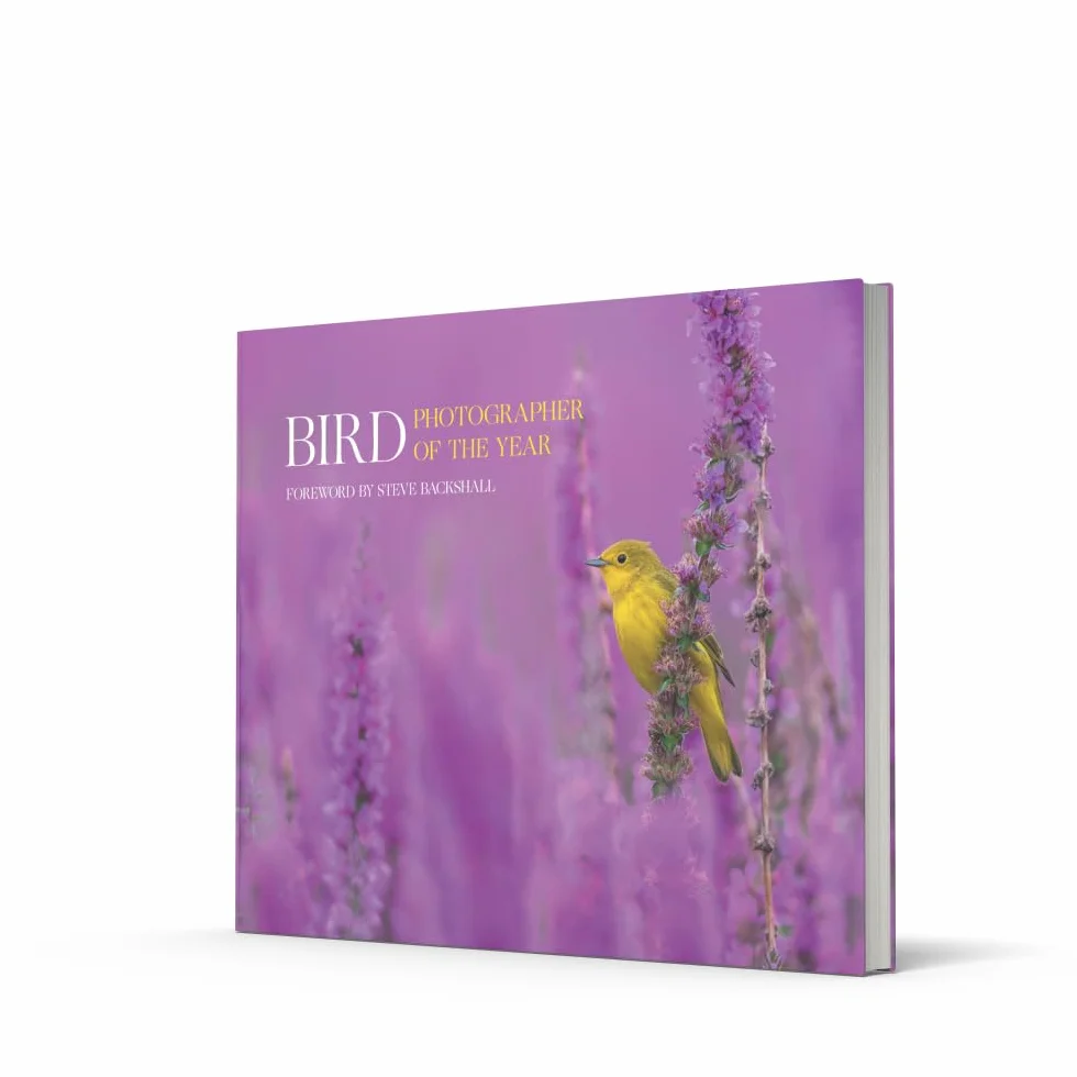 Bird Photographer of the Year: Collection 7