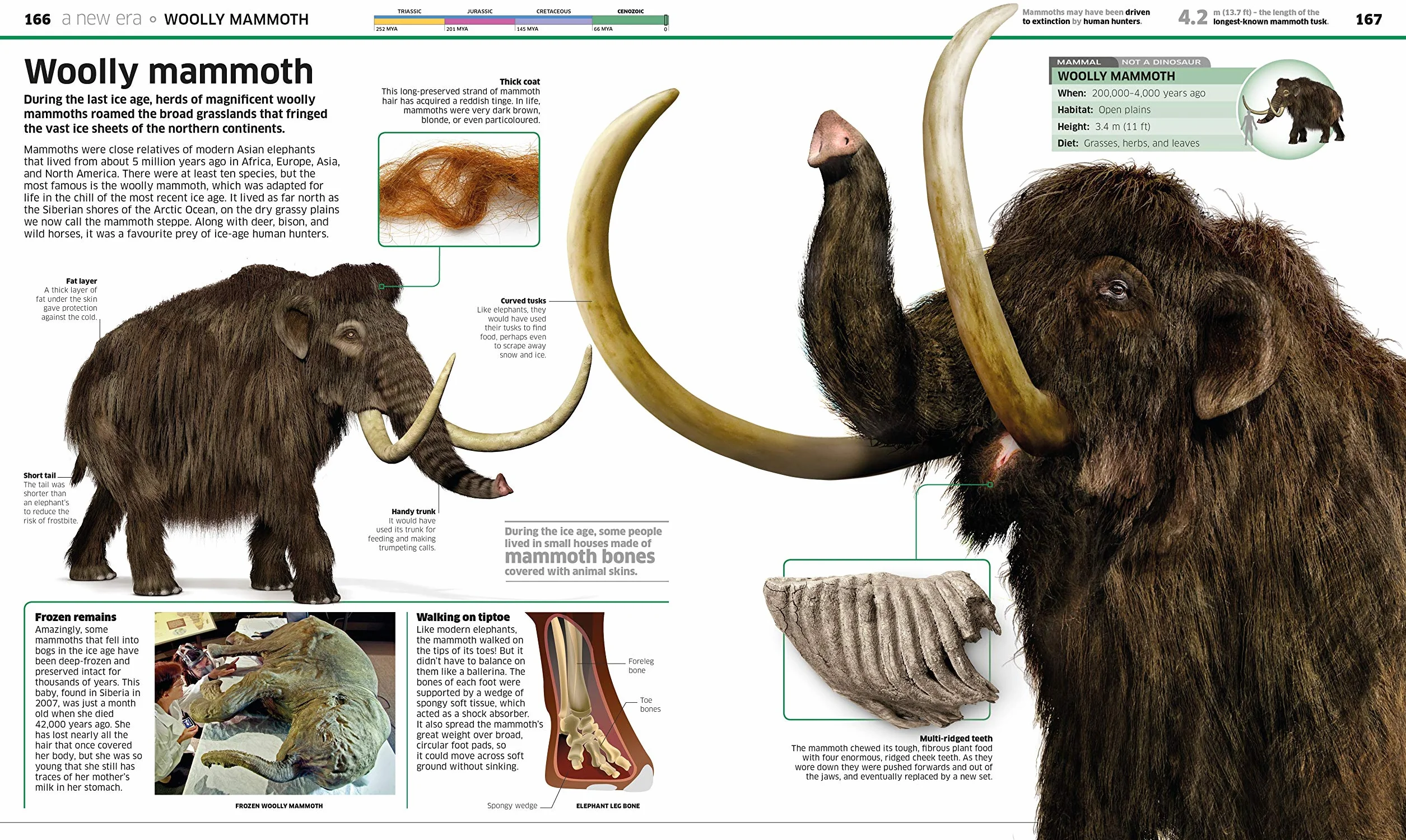 Knowledge Encyclopedia Dinosaur!: Over 60 Prehistoric Creatures as You've Never Seen Them Before (Knowledge Encyclopedias)