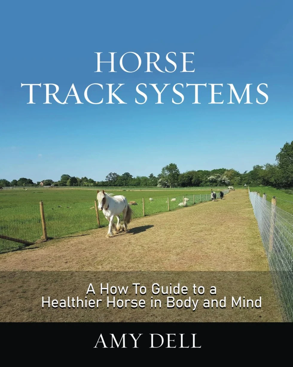 Horse Track Systems: A 'How To' Guide to a Healthier Horse in Body and Mind