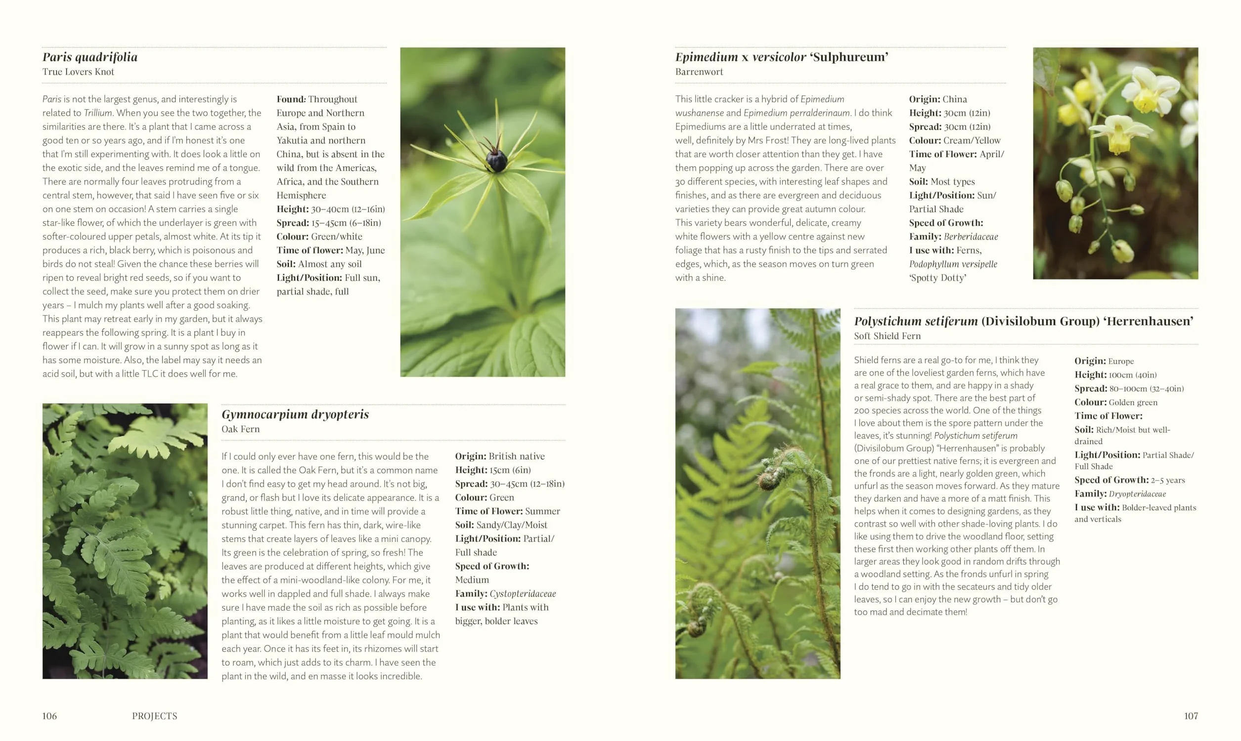 For the Love of Plants: Over 150 Plants to Bring Joy to Your Garden and Your Life