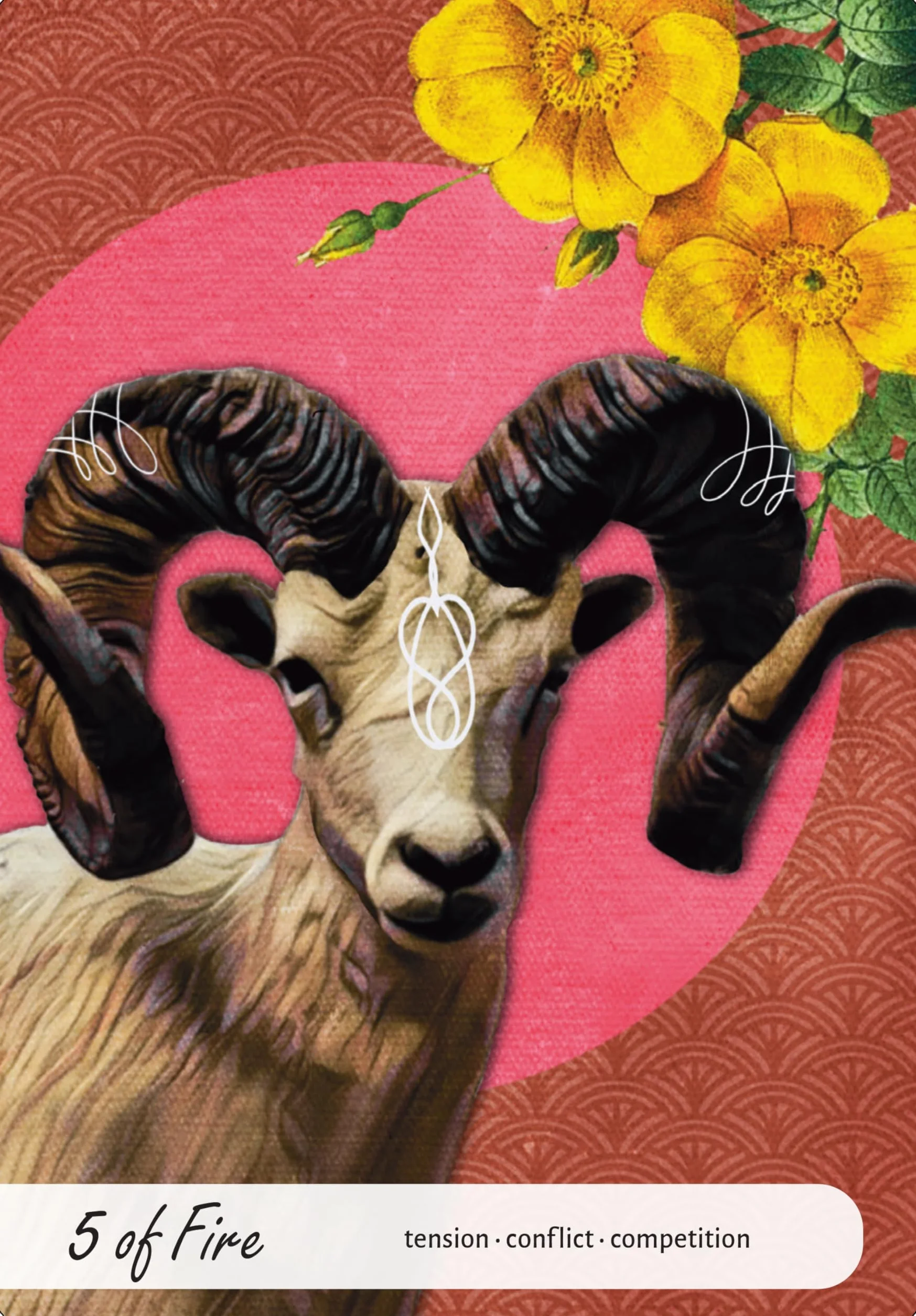 Wise Earth Medicine Tarot: (78 Full-Color Cards and 96-Page Full-Color Guidebook)