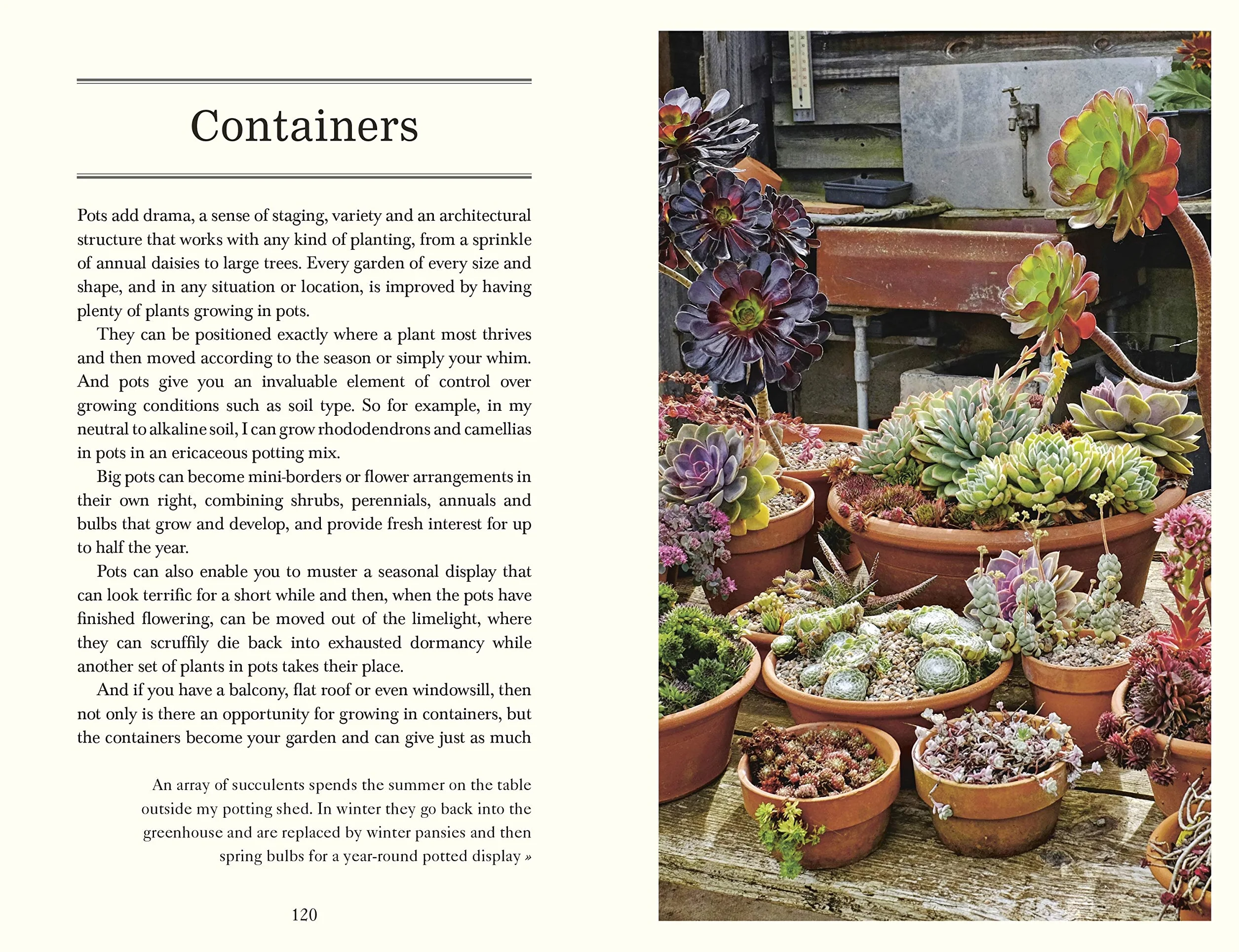 Down to Earth: Gardening Wisdom