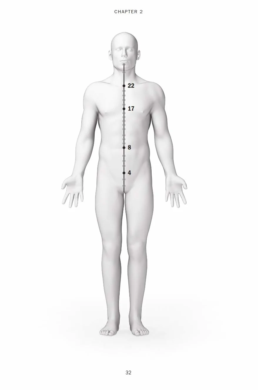 The 36 Deadly Bubishi Points: The Science and Techniques of Pressure Point Fighting - Defend Yourself Against Pressure Point Attacks!
