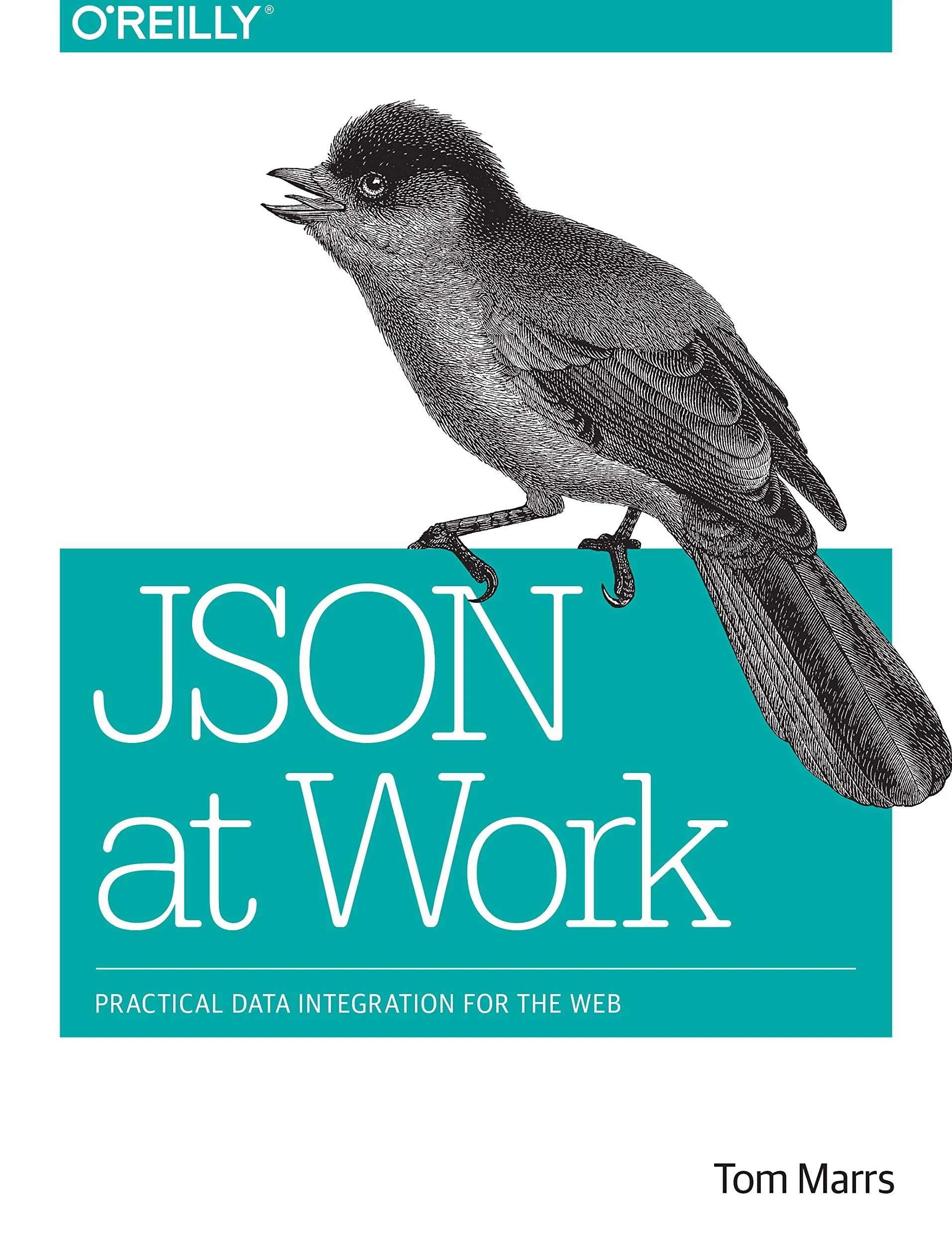 JSON at Work: Practical Data Integration for the Web