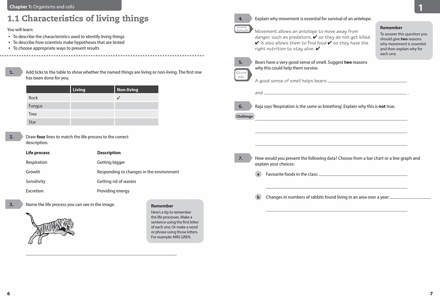 Lower Secondary Science Workbook: Stage 7