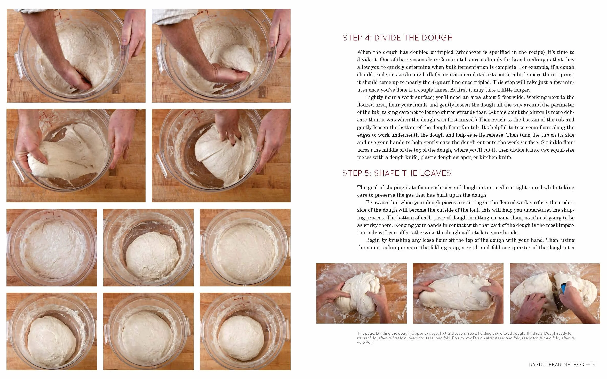 Flour Water Salt Yeast: The Fundamentals of Artisan Bread and Pizza [A Cookbook]