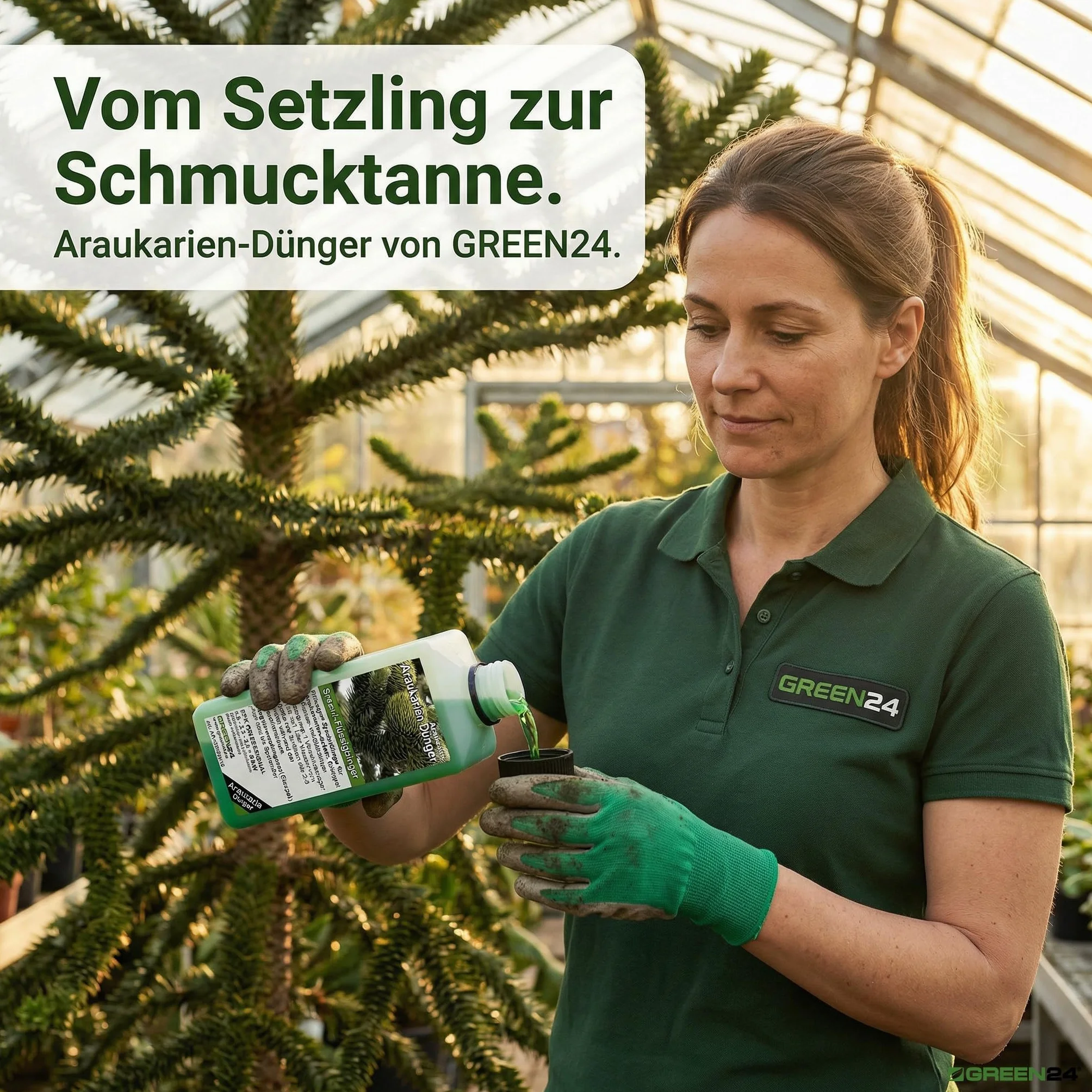 GREEN24 nawóz do araukarii HIGH-TECH, nawóz roślinny dla Araucaria Andentanne Araukarie Schmucktanne