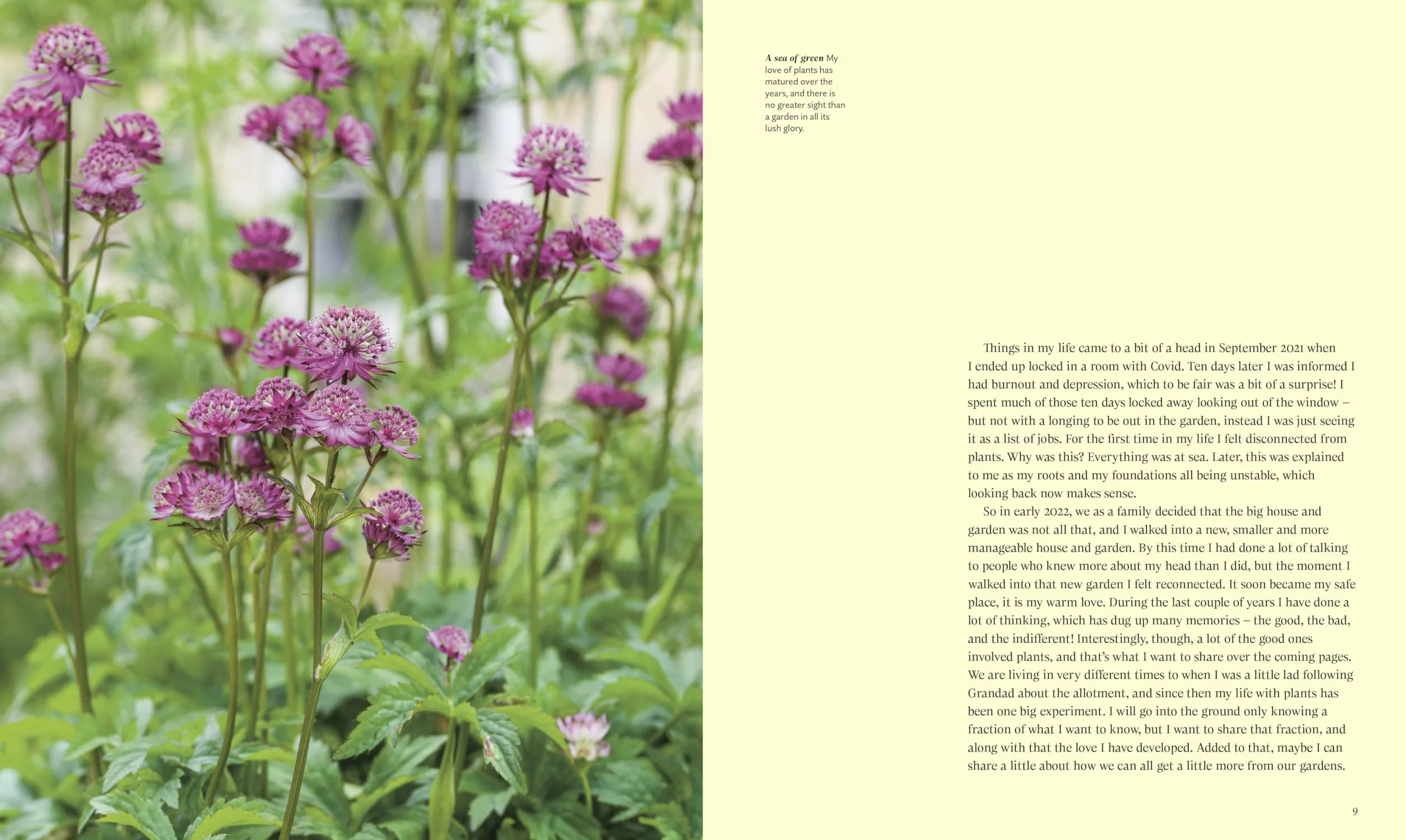 For the Love of Plants: Over 150 Plants to Bring Joy to Your Garden and Your Life
