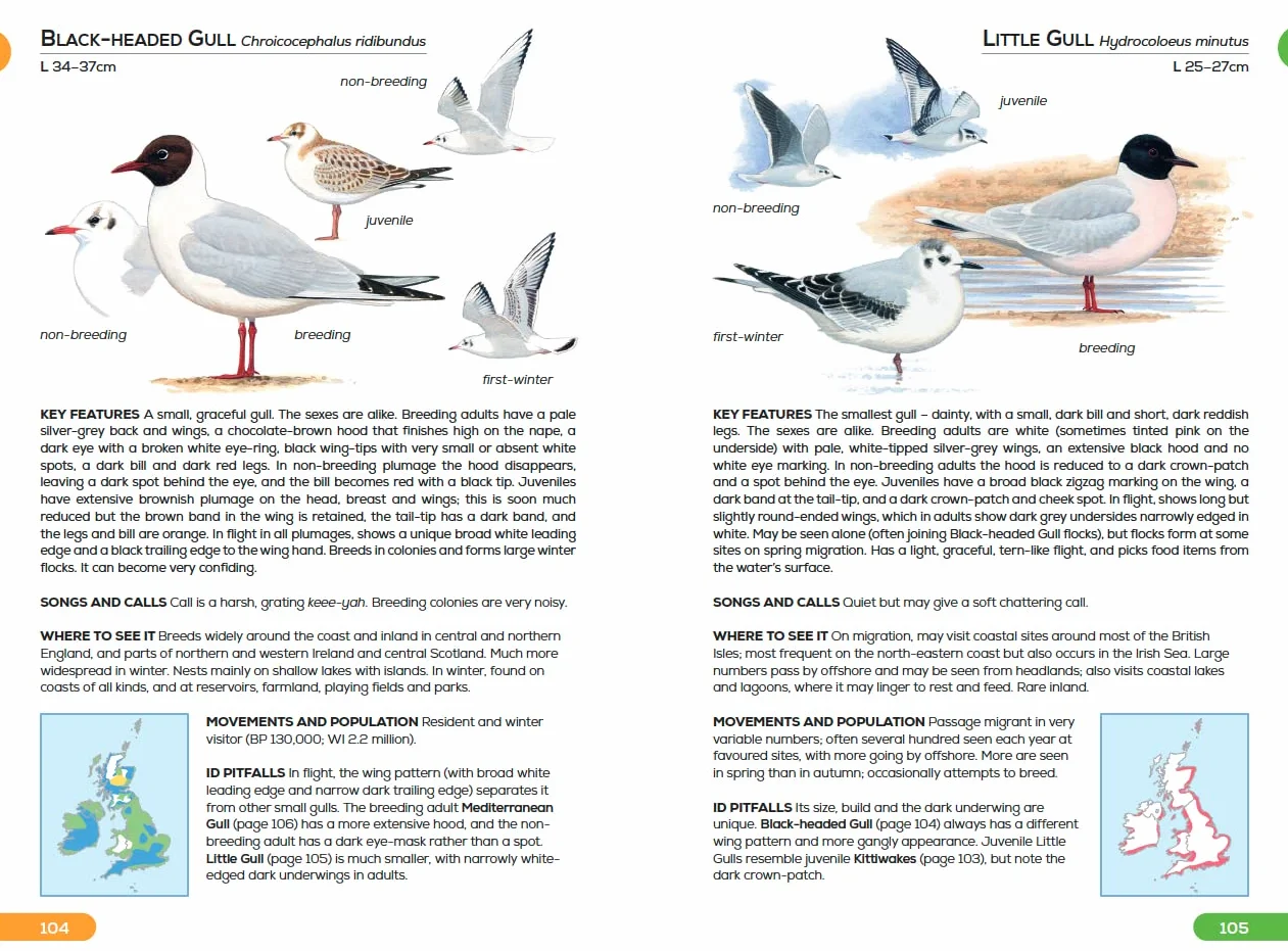 RSPB Pocket Guide to British Birds