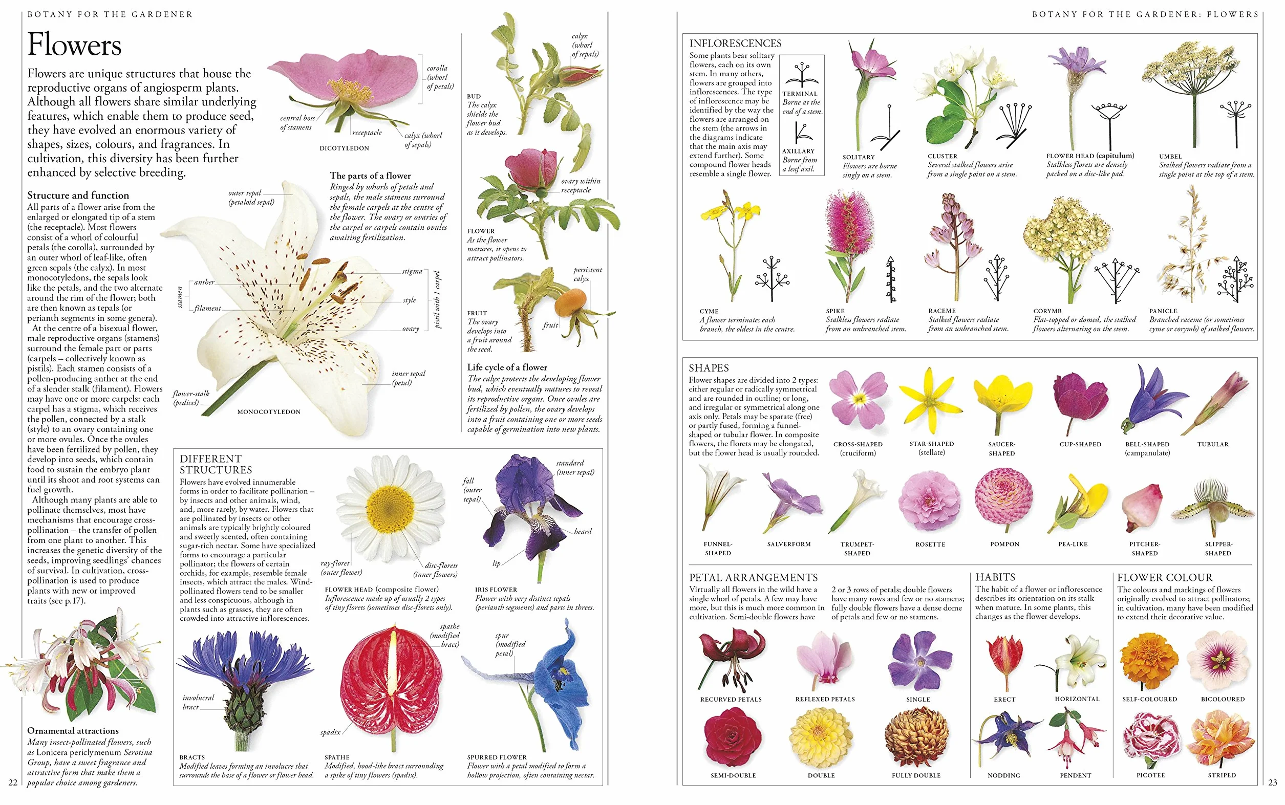 RHS A-Z Encyclopedia of Garden Plants 4th edition: (New Edition)