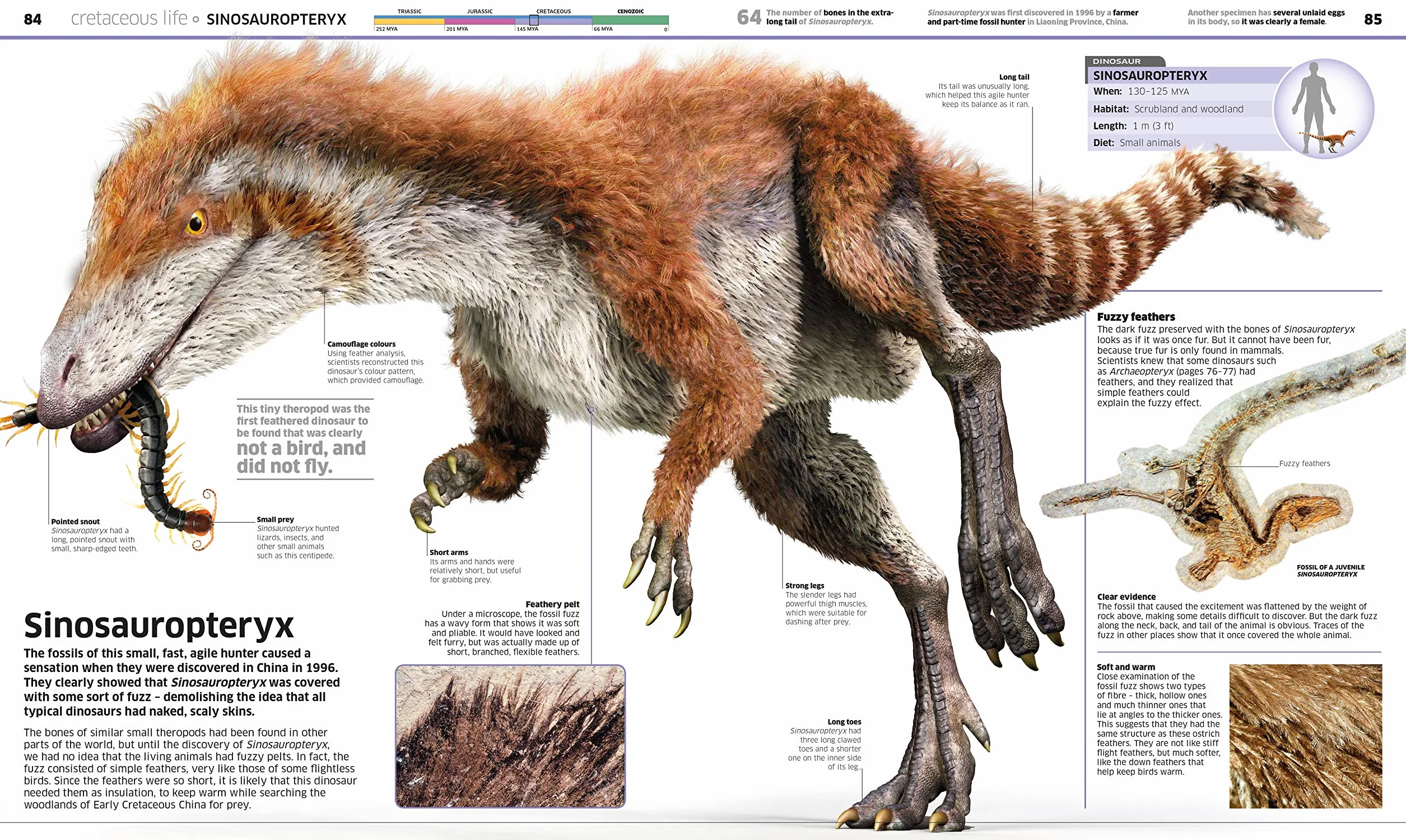 Knowledge Encyclopedia Dinosaur!: Over 60 Prehistoric Creatures as You've Never Seen Them Before (Knowledge Encyclopedias)