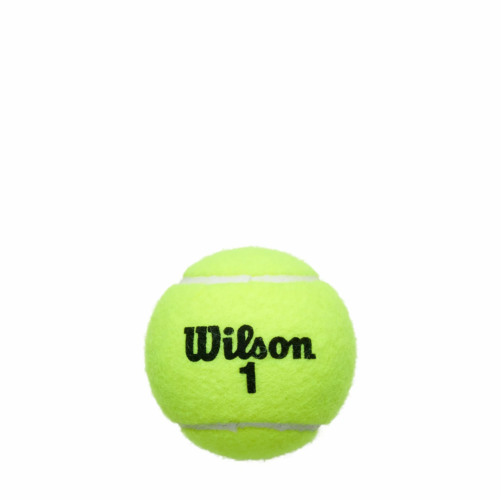 Wilson Champ Extra Duty piłki tenisowe
