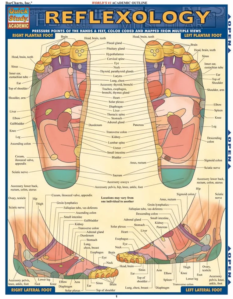 Reflexology: Pressure Points of the Hands & Feet, Color-coded & Mapped from Multiple Views