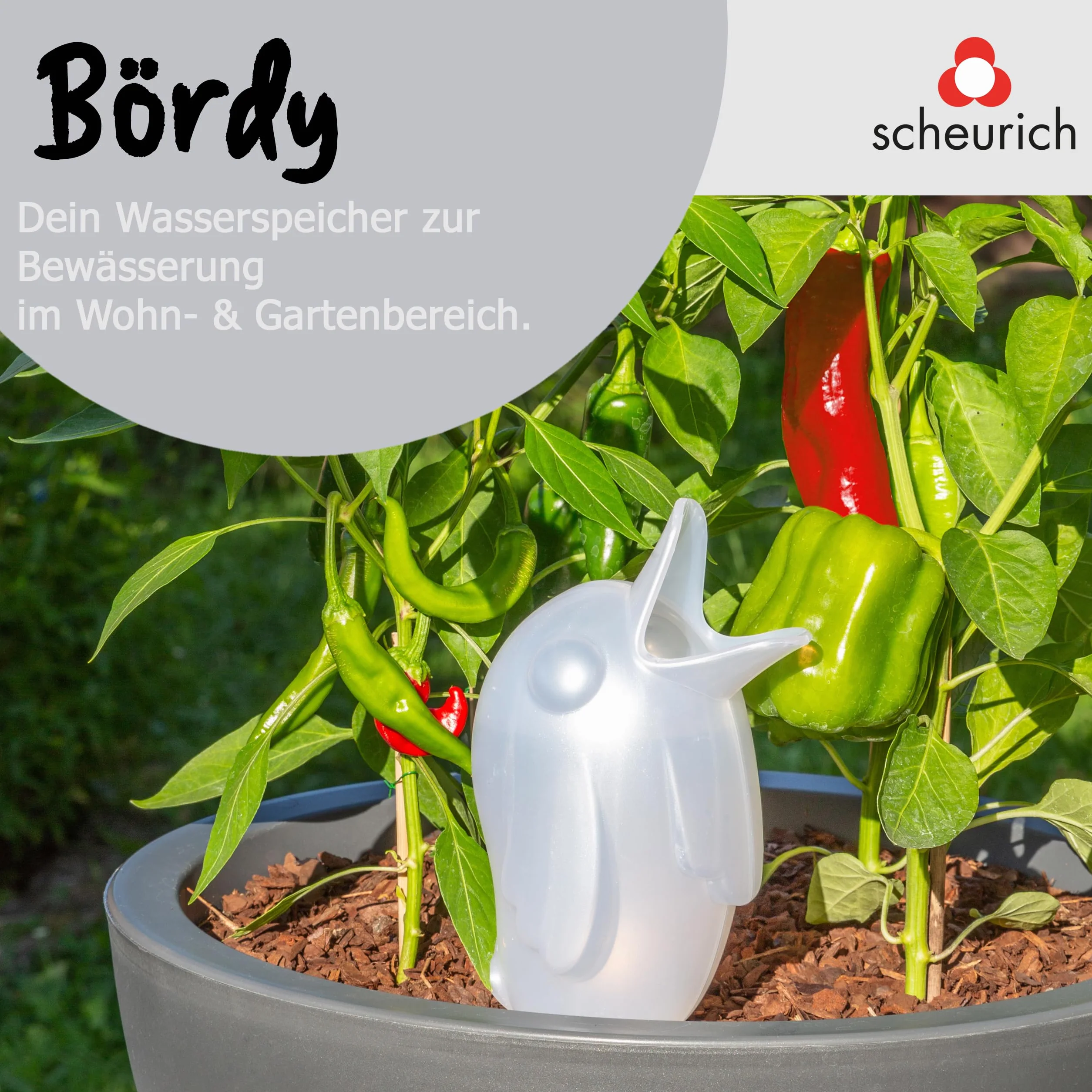 Scheurich 52888 0 XL 087/14 Bordy Dozownik Wody, 29 cm, 0.6 l, SzmaragDowy