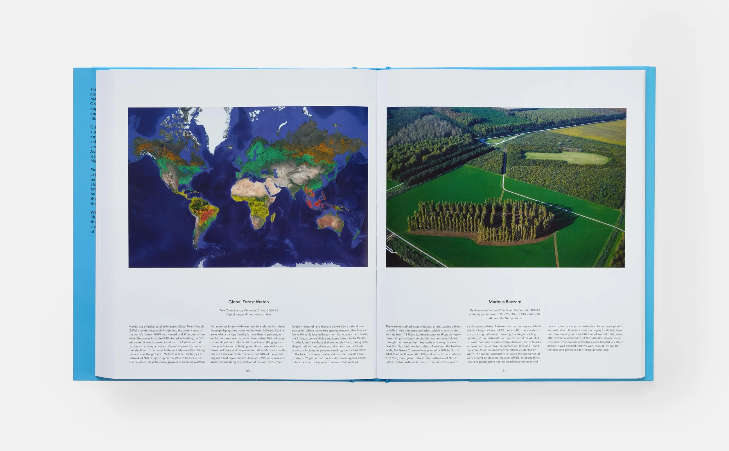 Tree: Exploring the Arboreal World