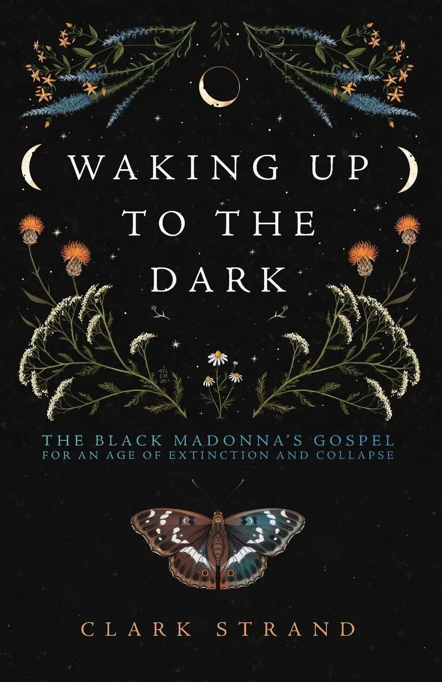 Waking Up to the Dark: The Black Madonna's Gospel for an Age of Extinction and Collapse