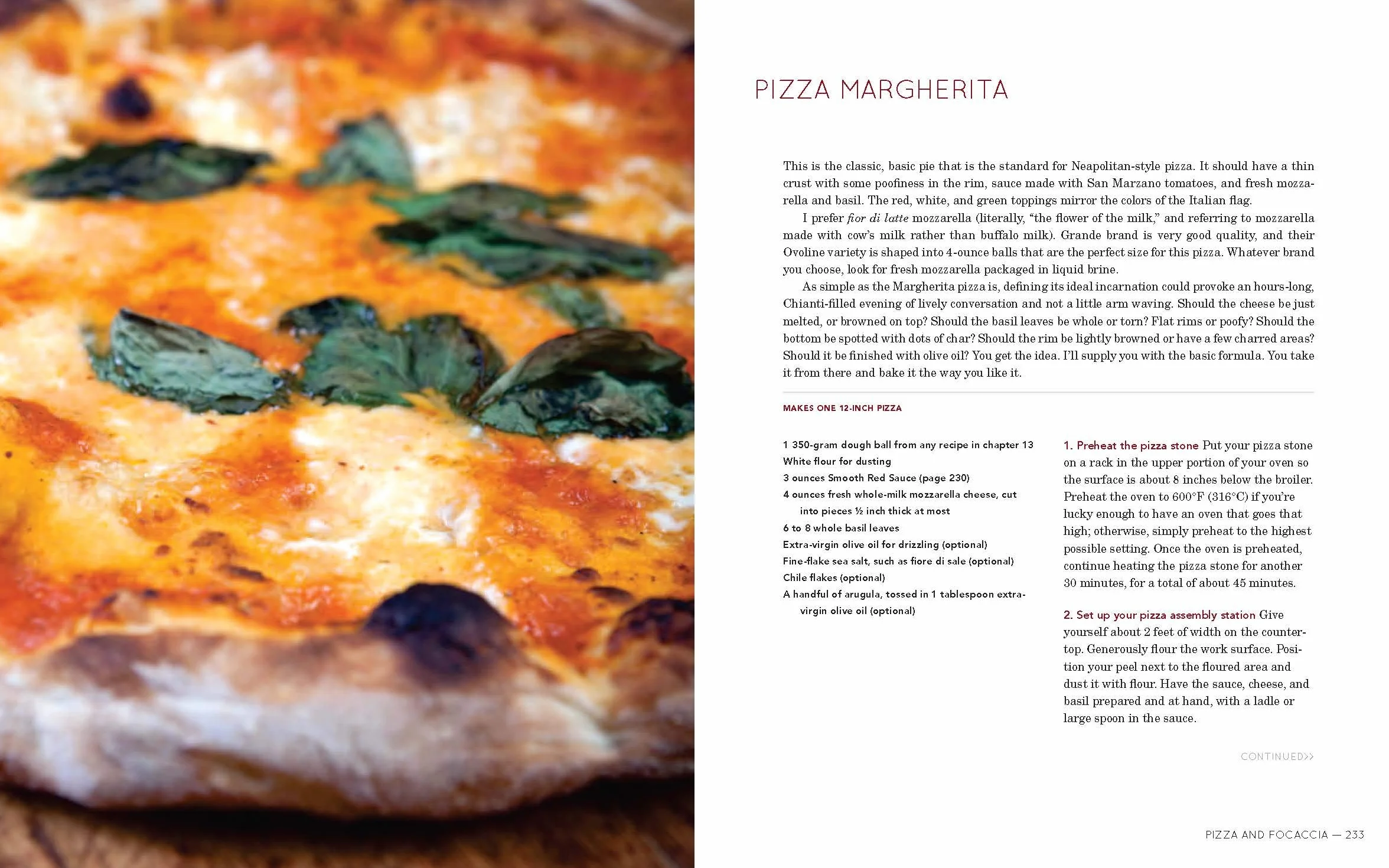 Flour Water Salt Yeast: The Fundamentals of Artisan Bread and Pizza [A Cookbook]