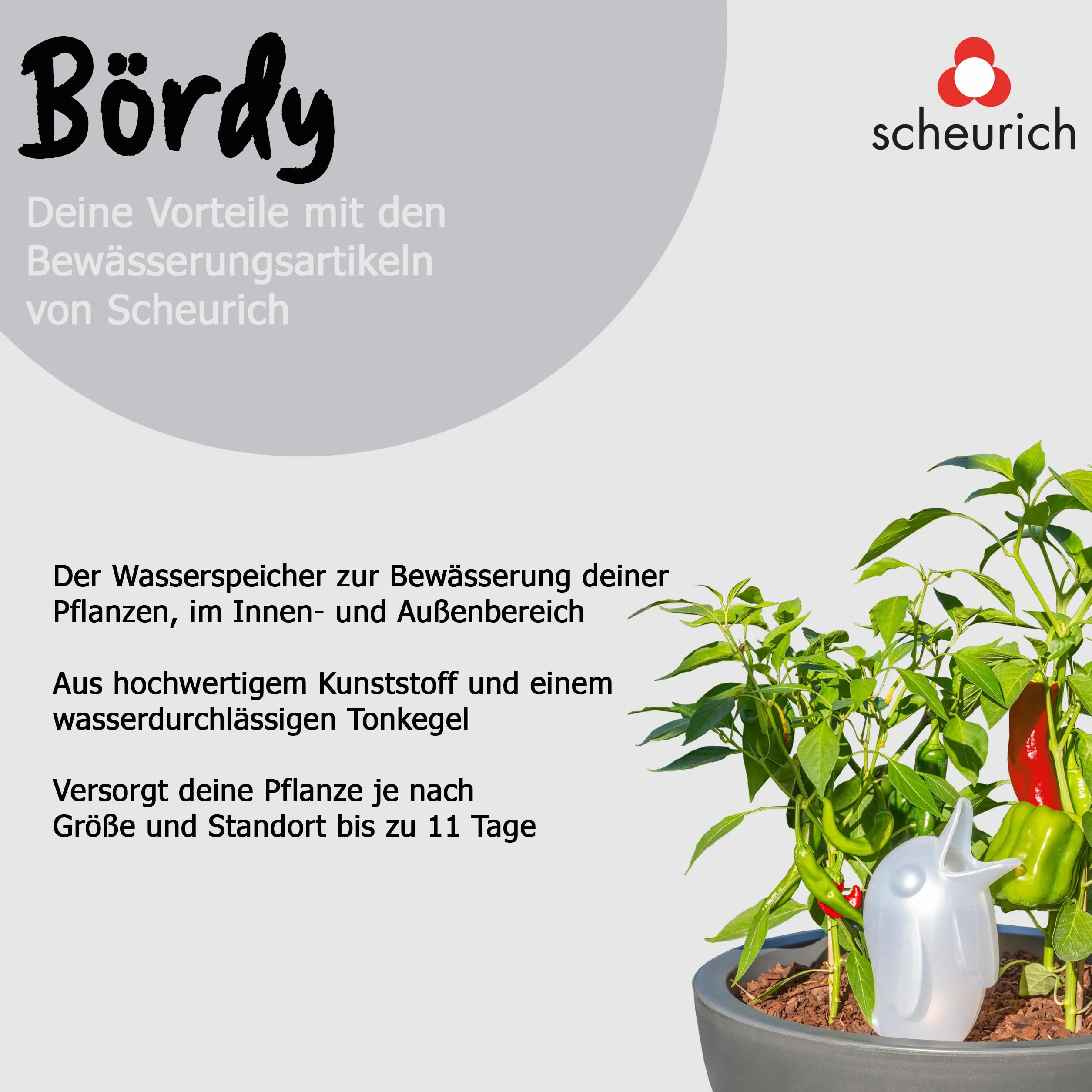 Scheurich 52888 0 XL 087/14 Bordy Dozownik Wody, 29 cm, 0.6 l, SzmaragDowy