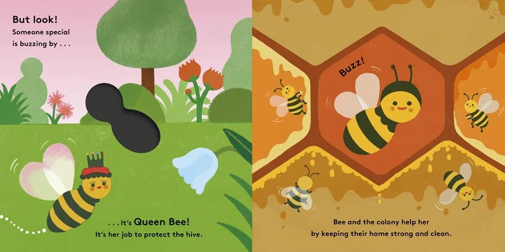 Little Life Cycles: Bee