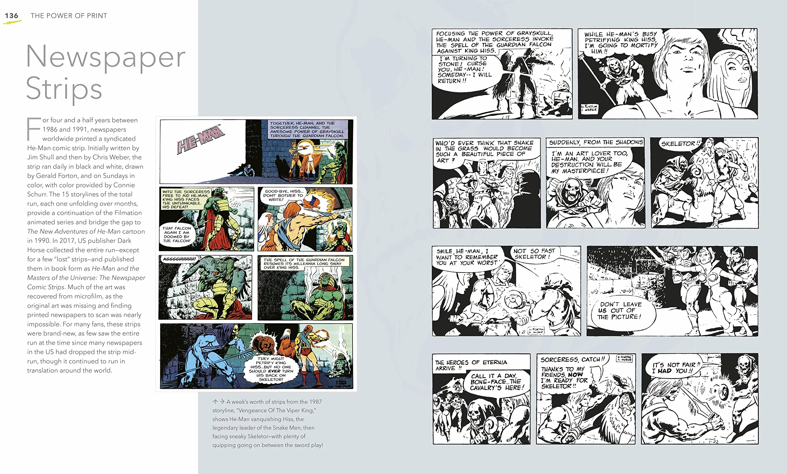 The Masters Of The Universe Book