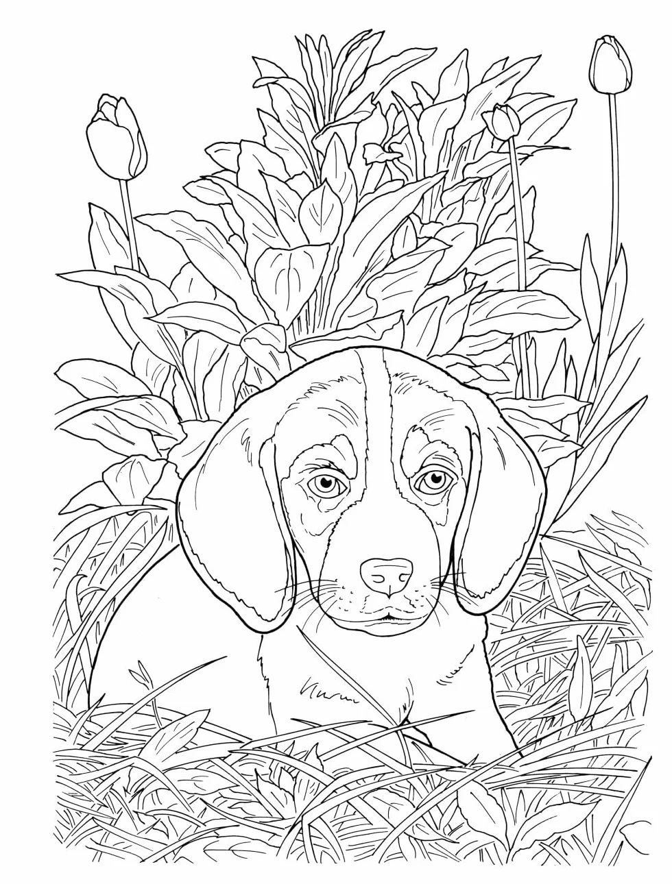 Creative Haven Lovable Cats and Dogs Coloring Book