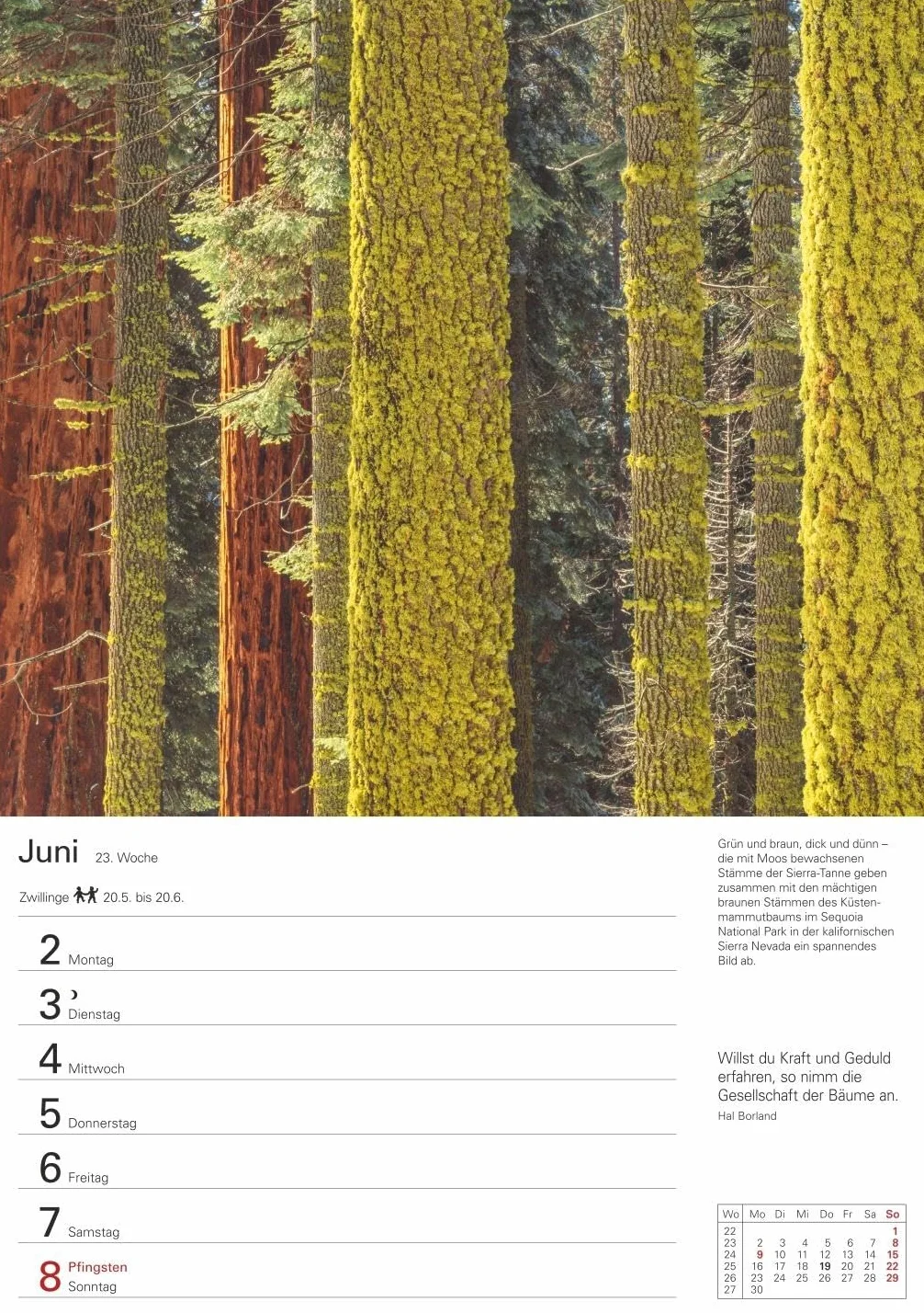 Wunder der Natur Wochenplaner 2025 - 53 Blatt mit Zitaten und Wochenchronik: Wunderschöne Naturfotos in einem praktischen Terminkalender zum Aufhängen. Übersichtlicher Wochenplaner für die Wand