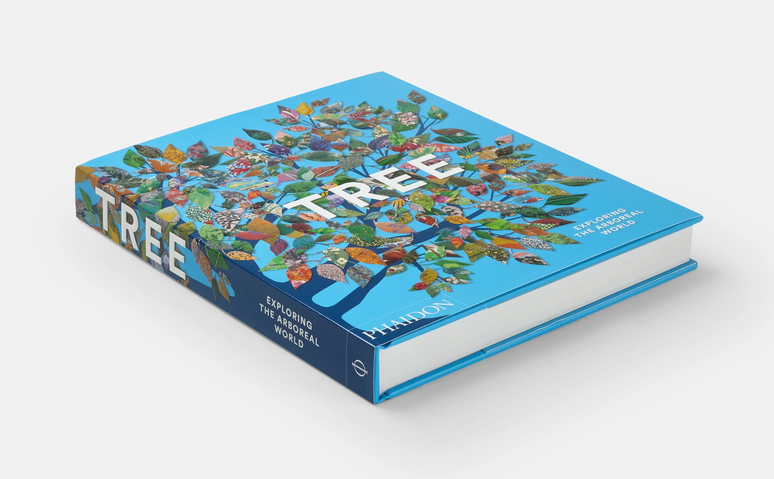 Tree: Exploring the Arboreal World