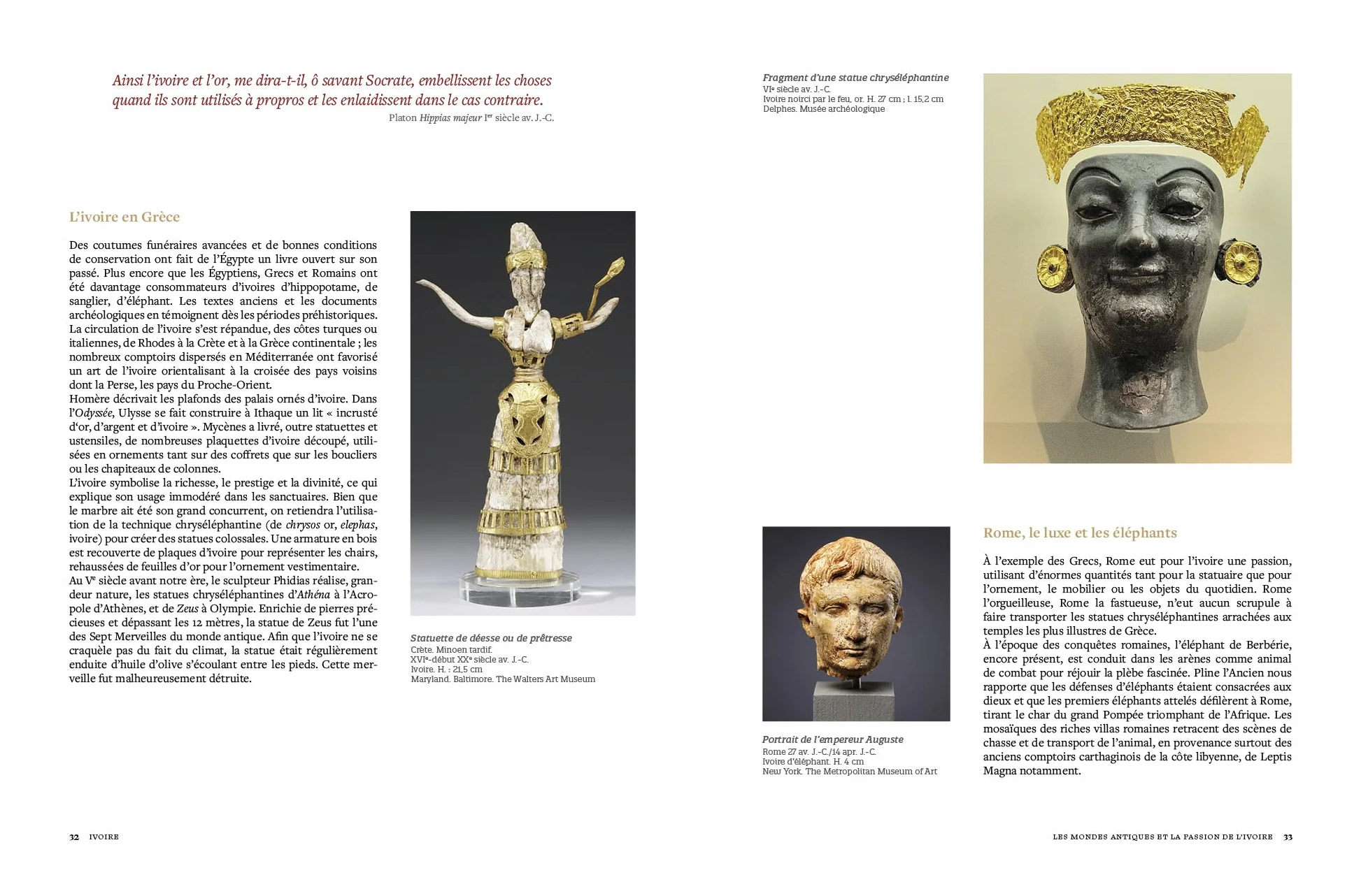 Ivoire: Secrets de l'or blanc