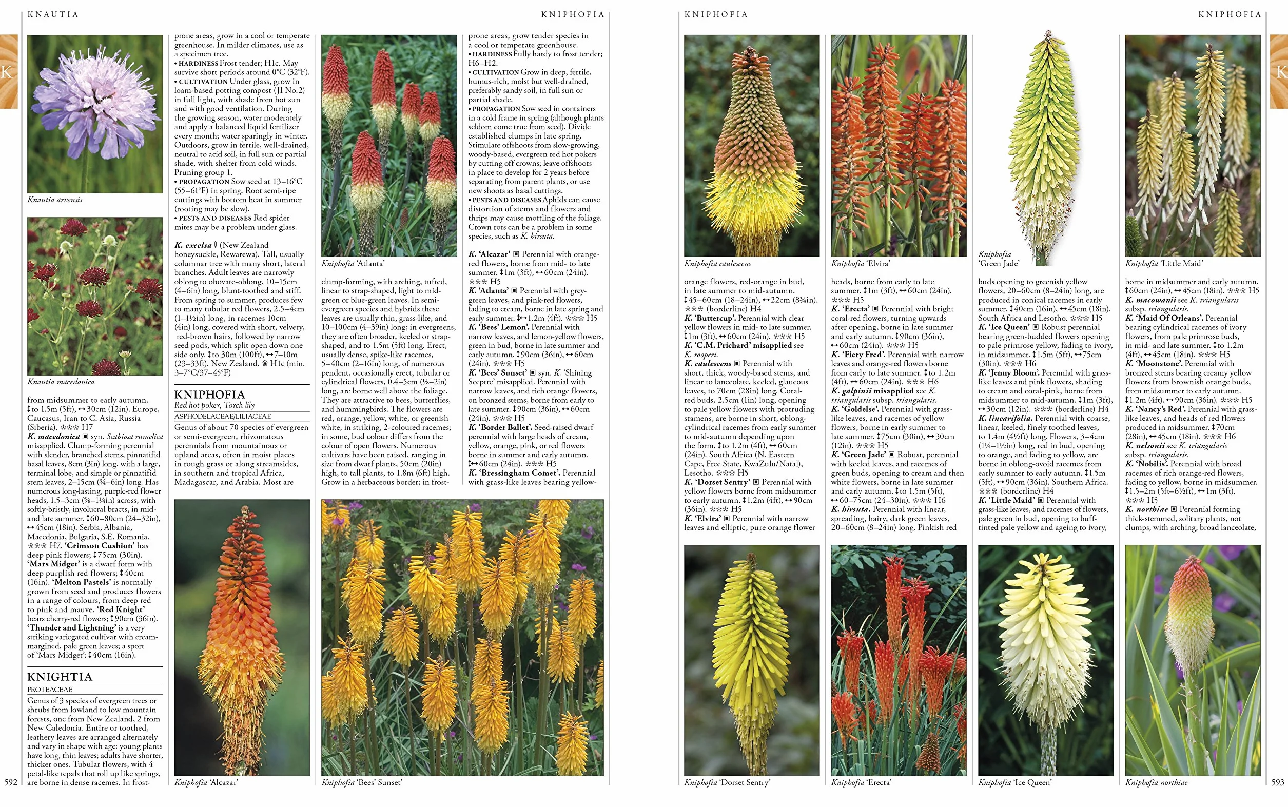 RHS A-Z Encyclopedia of Garden Plants 4th edition: (New Edition)