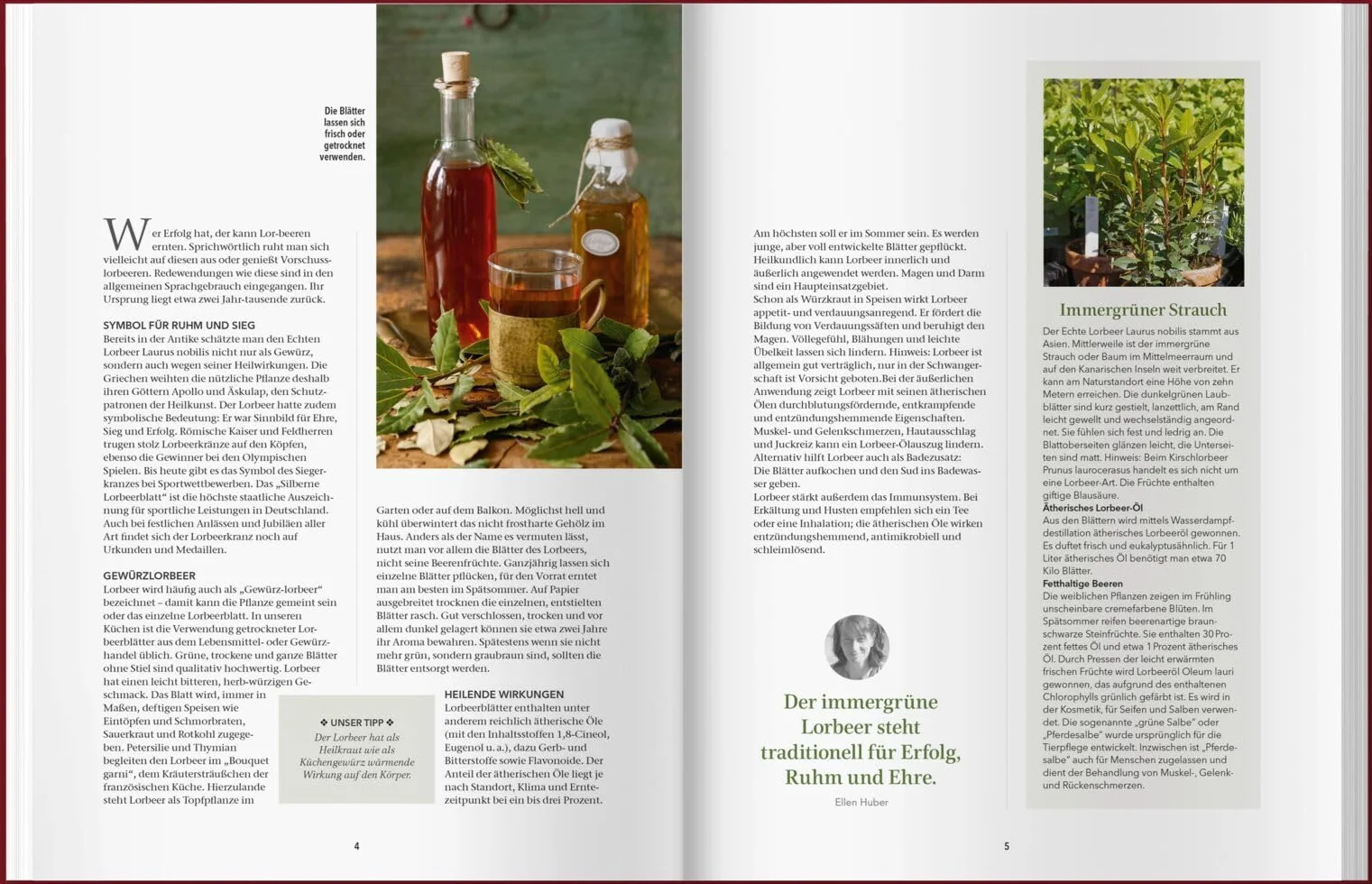 Landlust Naturapotheke: Naturrezepte für Gesundheit und Wohlbefinden - Herbst und Winter. Mit den Heilkräften der Natur gestärkt durch die kalte Jahreszeit. Tipps zu Heilpflanzen und ihrer Anwendung.