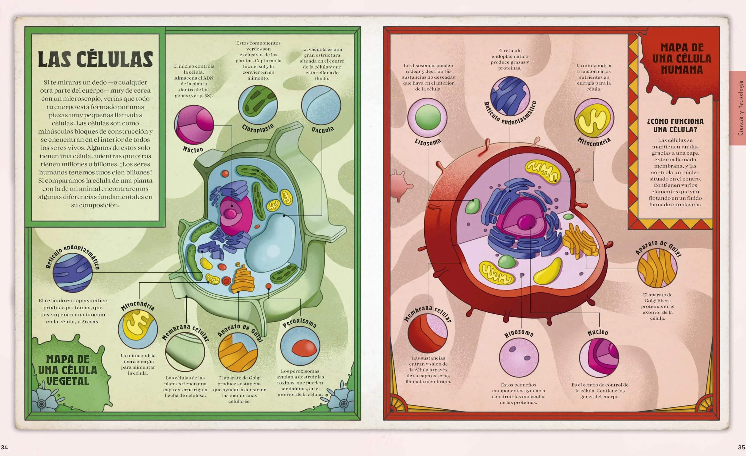 ¡explora! (Explore): Descubre Un Mundo de Conocimiento Con Cientos de Mapas Y Diagramas