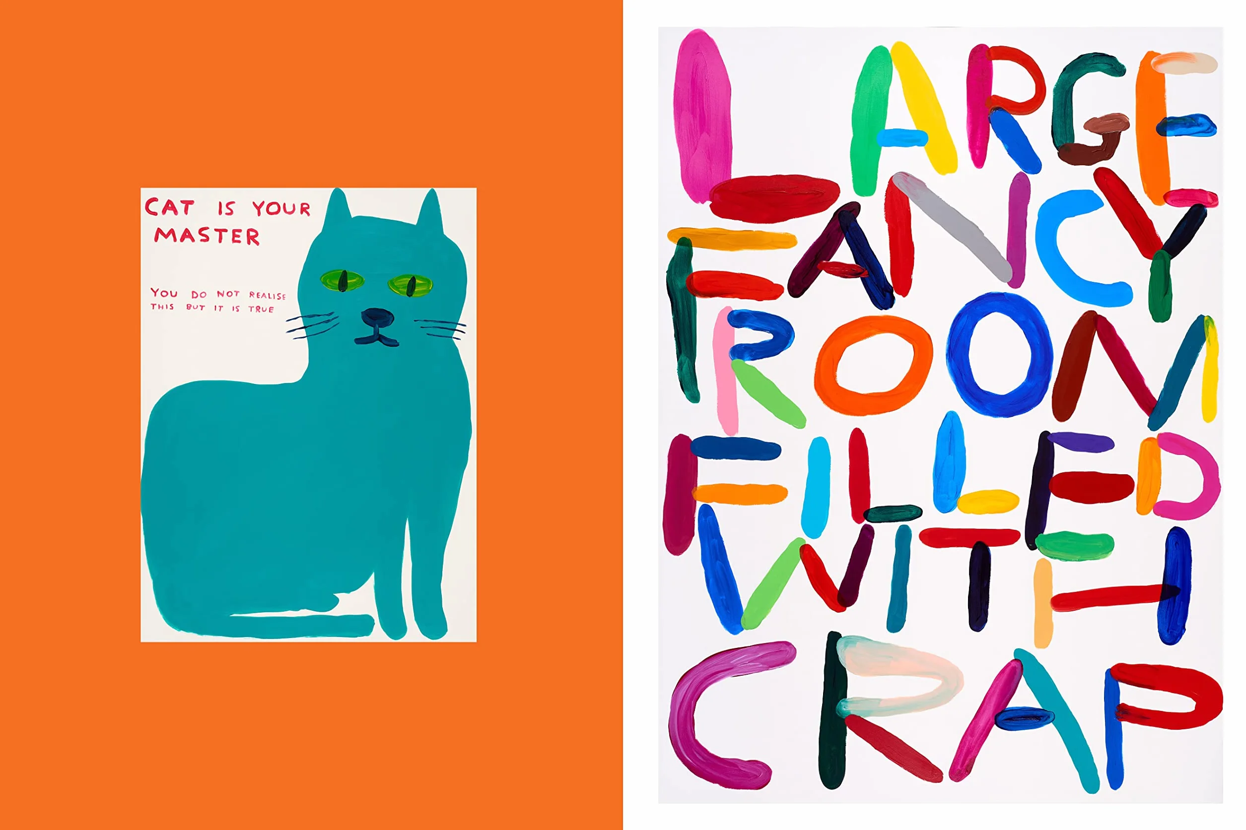 Get your shit together: David Shrigley