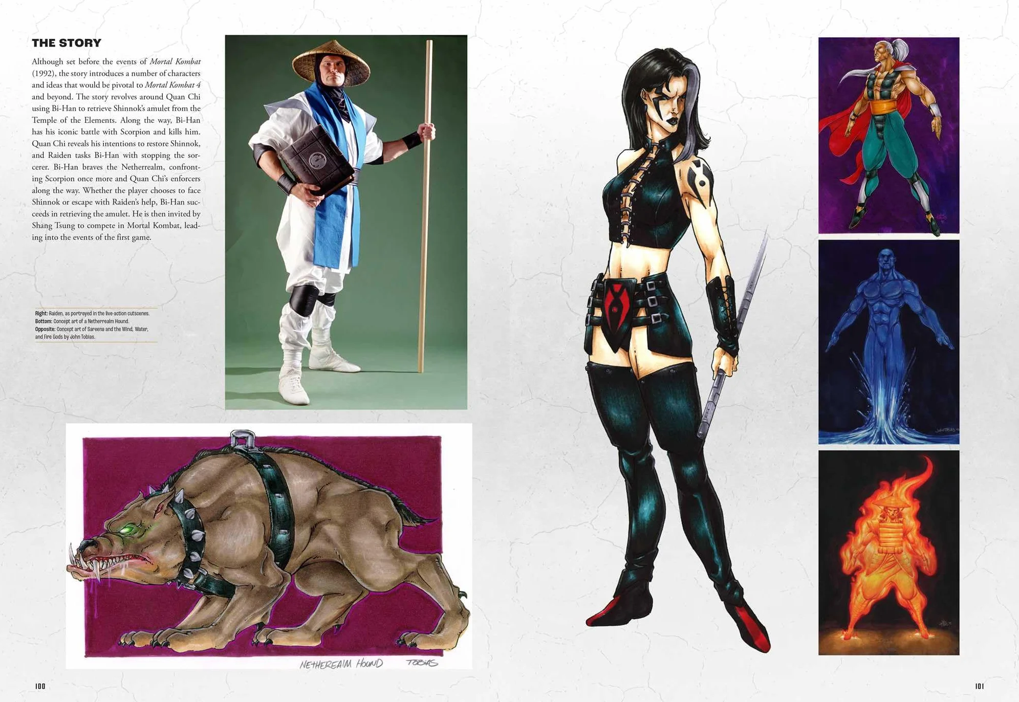 Mortal Kombat: Flawless Victory: A Visual History of the Iconic Series