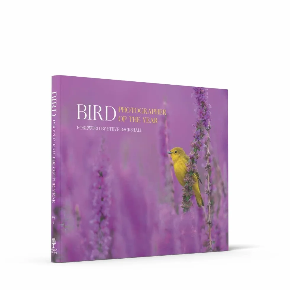 Bird Photographer of the Year: Collection 7