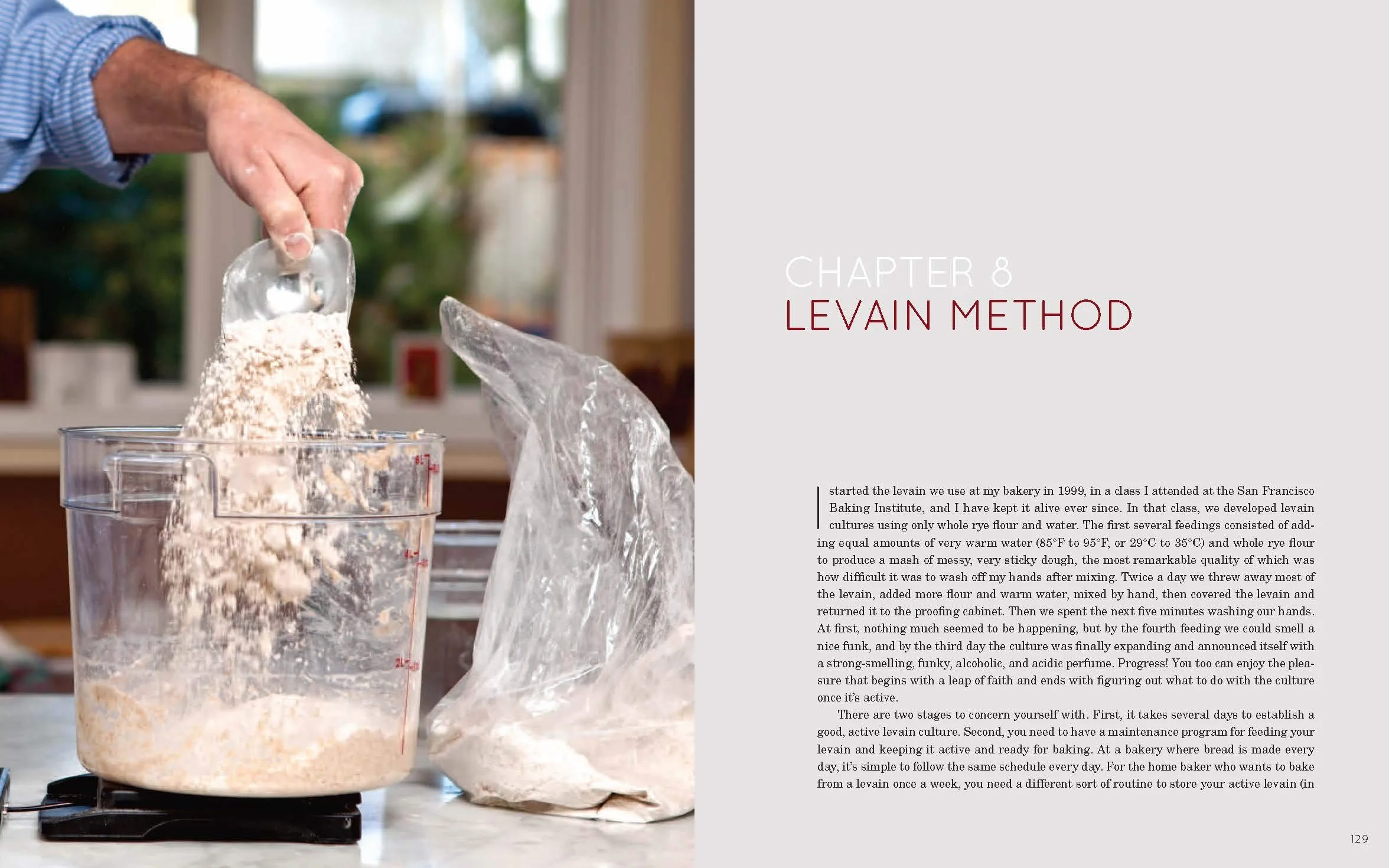Flour Water Salt Yeast: The Fundamentals of Artisan Bread and Pizza [A Cookbook]
