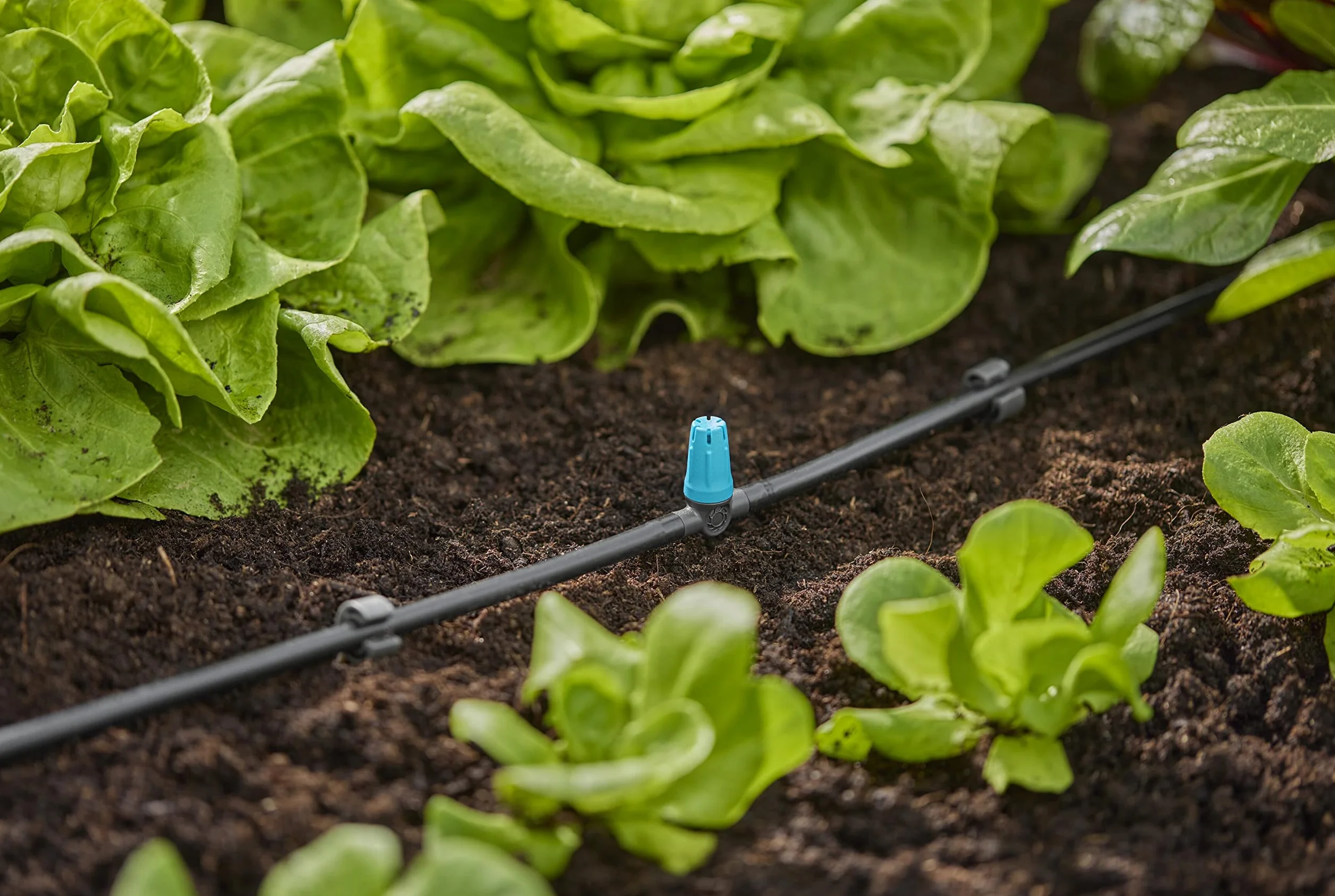 Gardena system Micro-Drip dysza małopowierzchniowa: Dysza rozpylająca do autom. systemu nawadniania do małych powierzchni do średnicy 40 cm, proste połączenie z rurą rozdziel. 4,6 mm (13316-20)