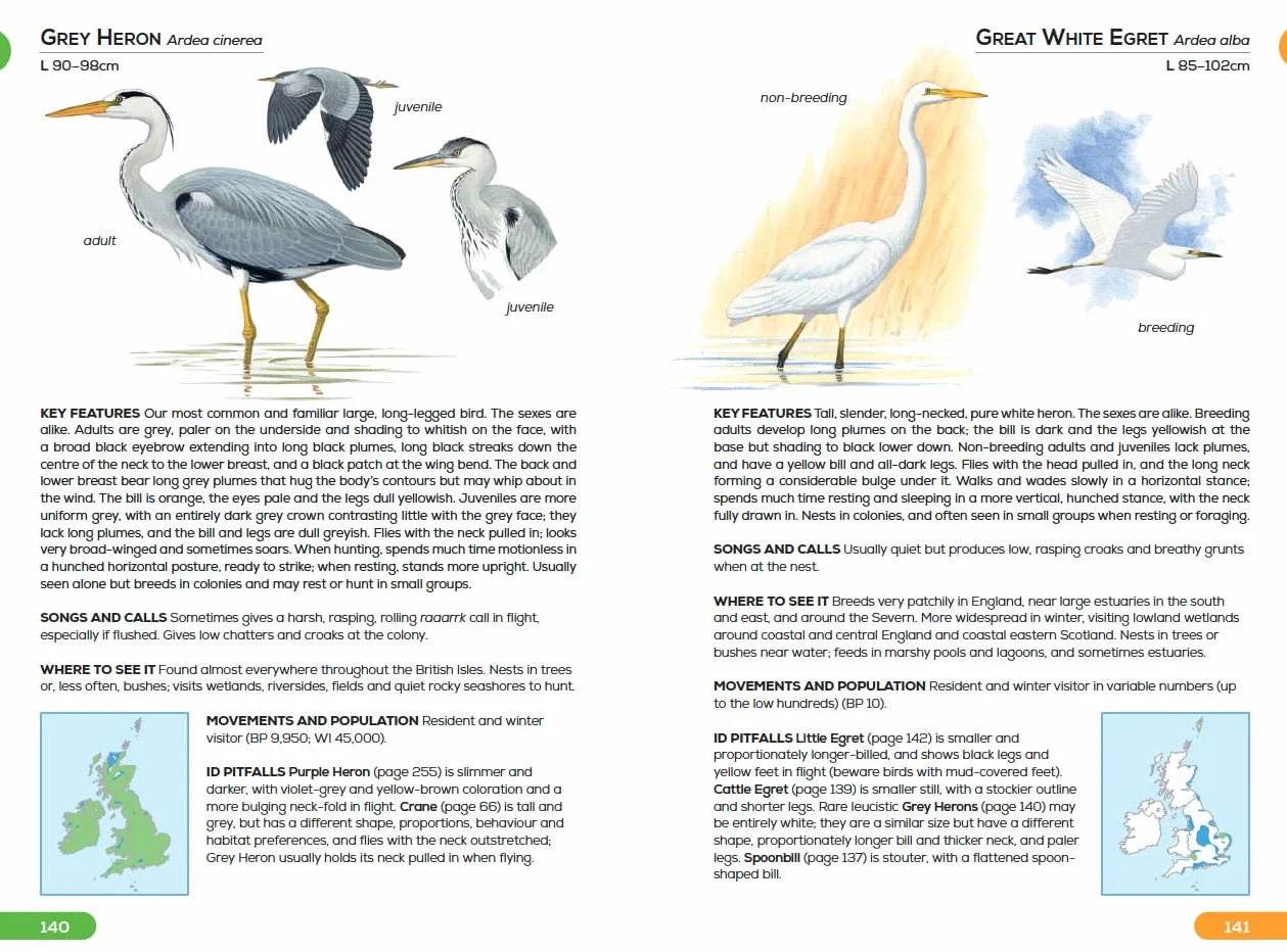 RSPB Pocket Guide to British Birds