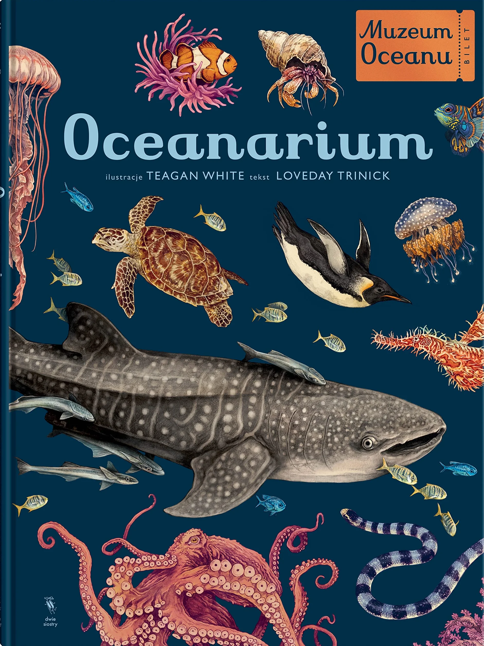Oceanarium: Muzeum Oceanu