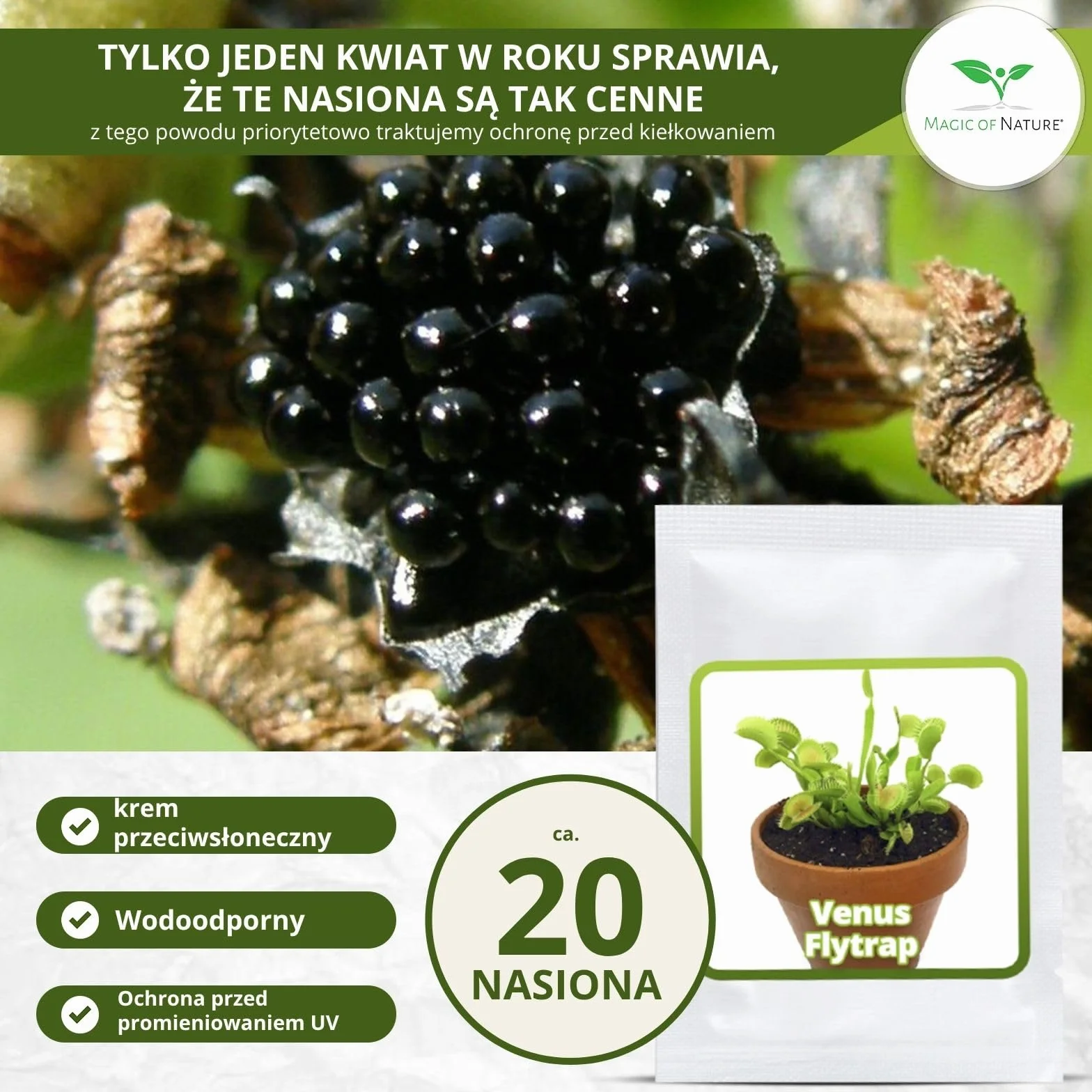 Magic of Nature Muchołówka amerykańska nasiona (ok. 20 szt.) - Dionaea muscipula - Roślina owadożerna do domu i na parapet - Egzotyczna roślina doniczkowa