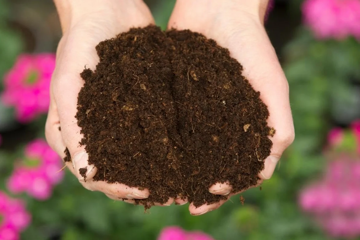 BIOVITA Podłoga uniwersalna 20 l wieloskładnikowa gleba do roślin gotowa do użycia gleba pochodzenia naturalnego